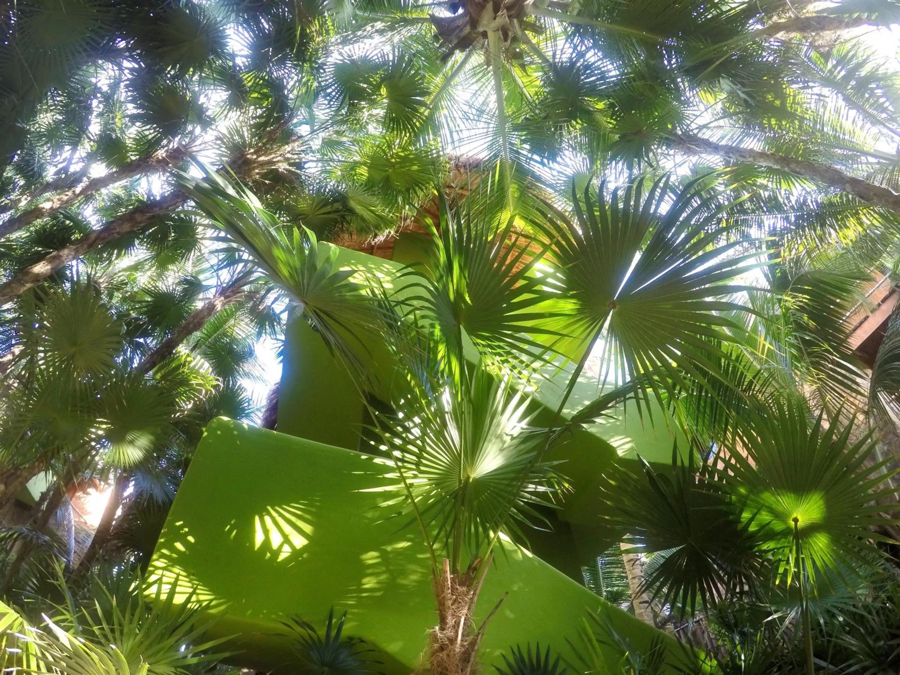 Property building in Sueños Tulum