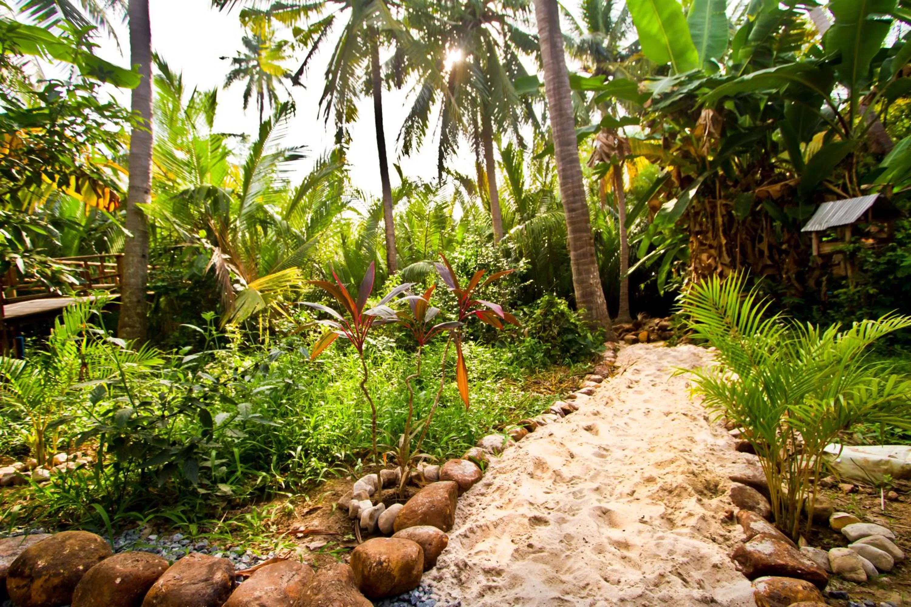 Garden in Sabay Beach