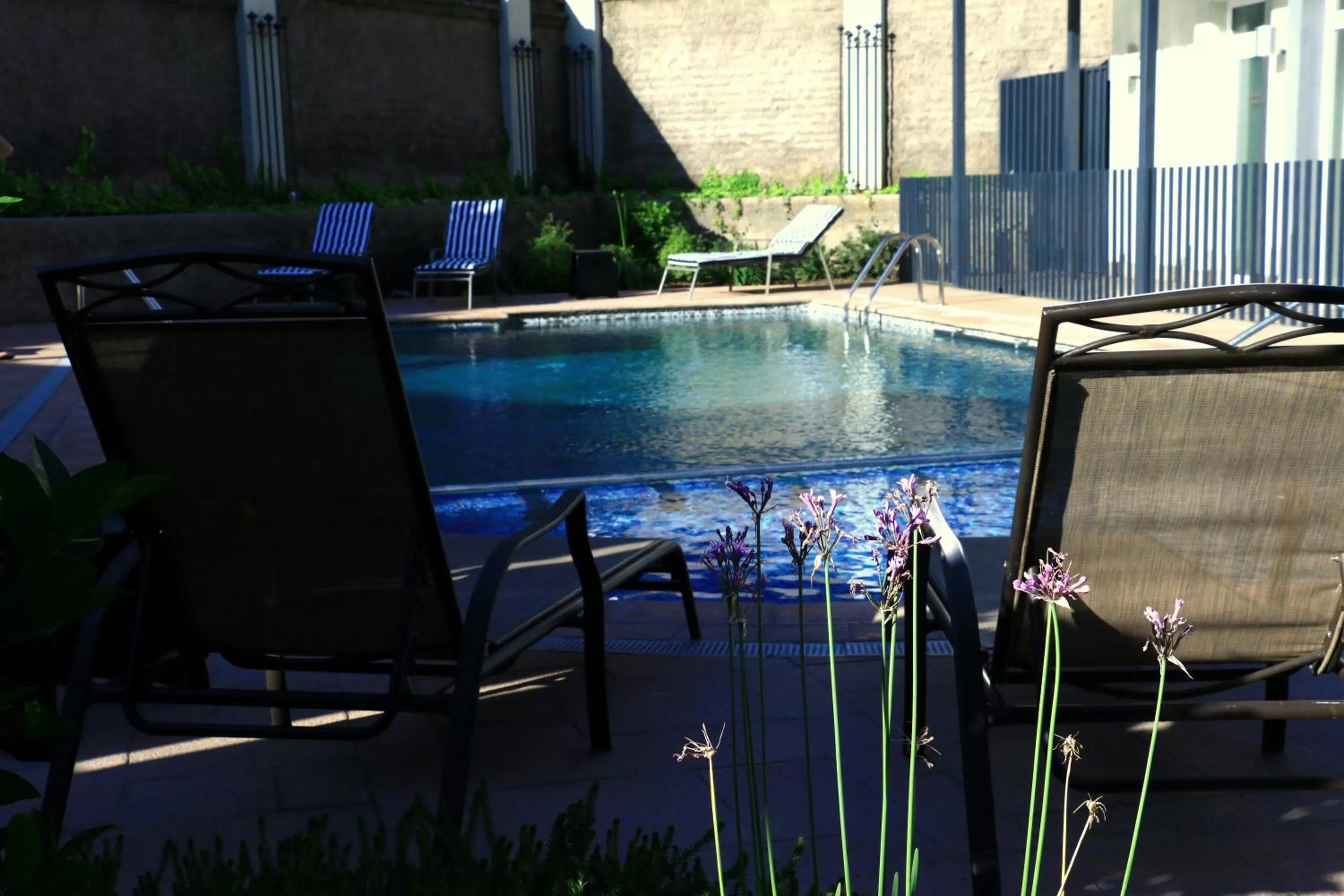 Swimming pool in Hotel Diego de Almagro Providencia