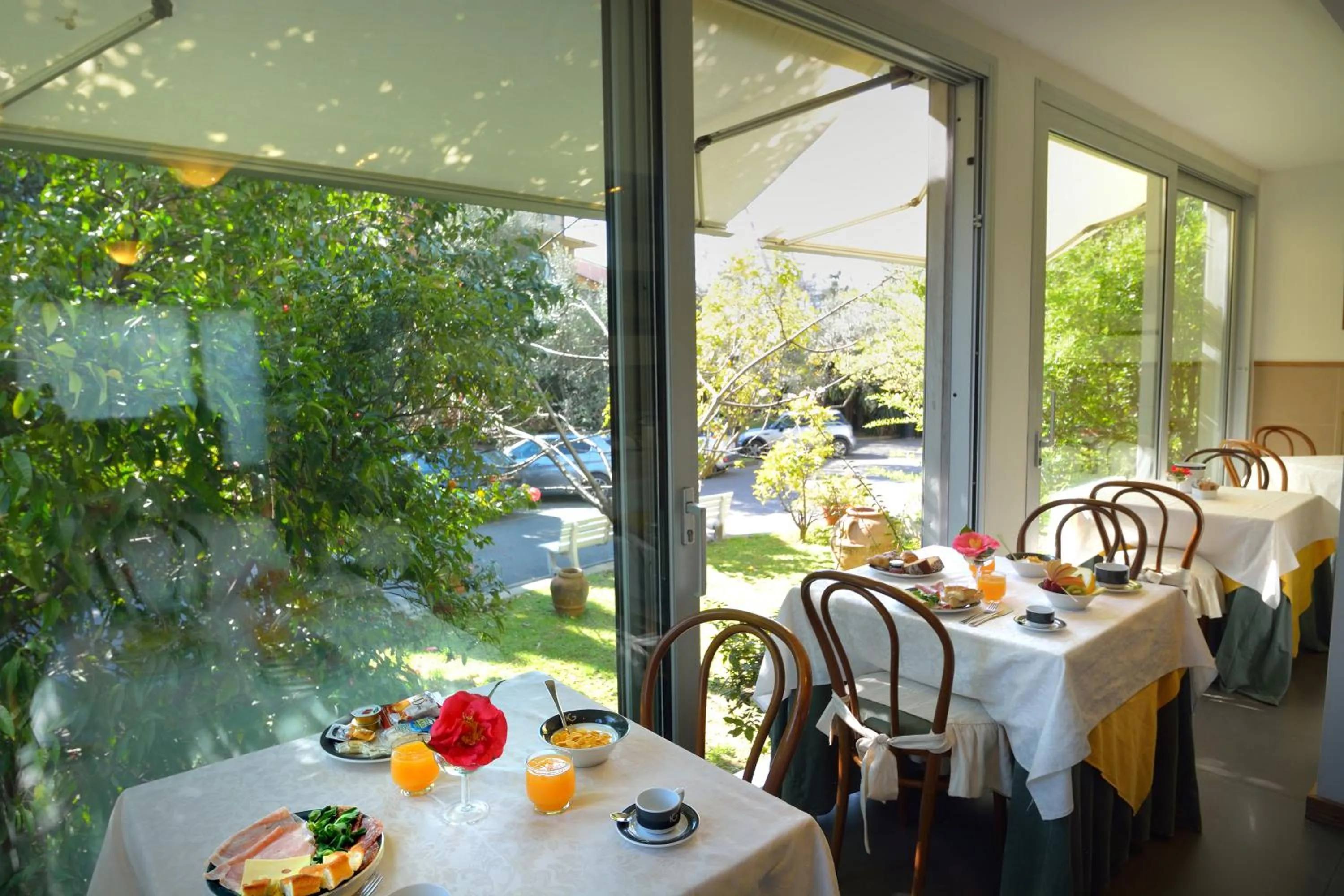 Garden view in Hotel Ghironi
