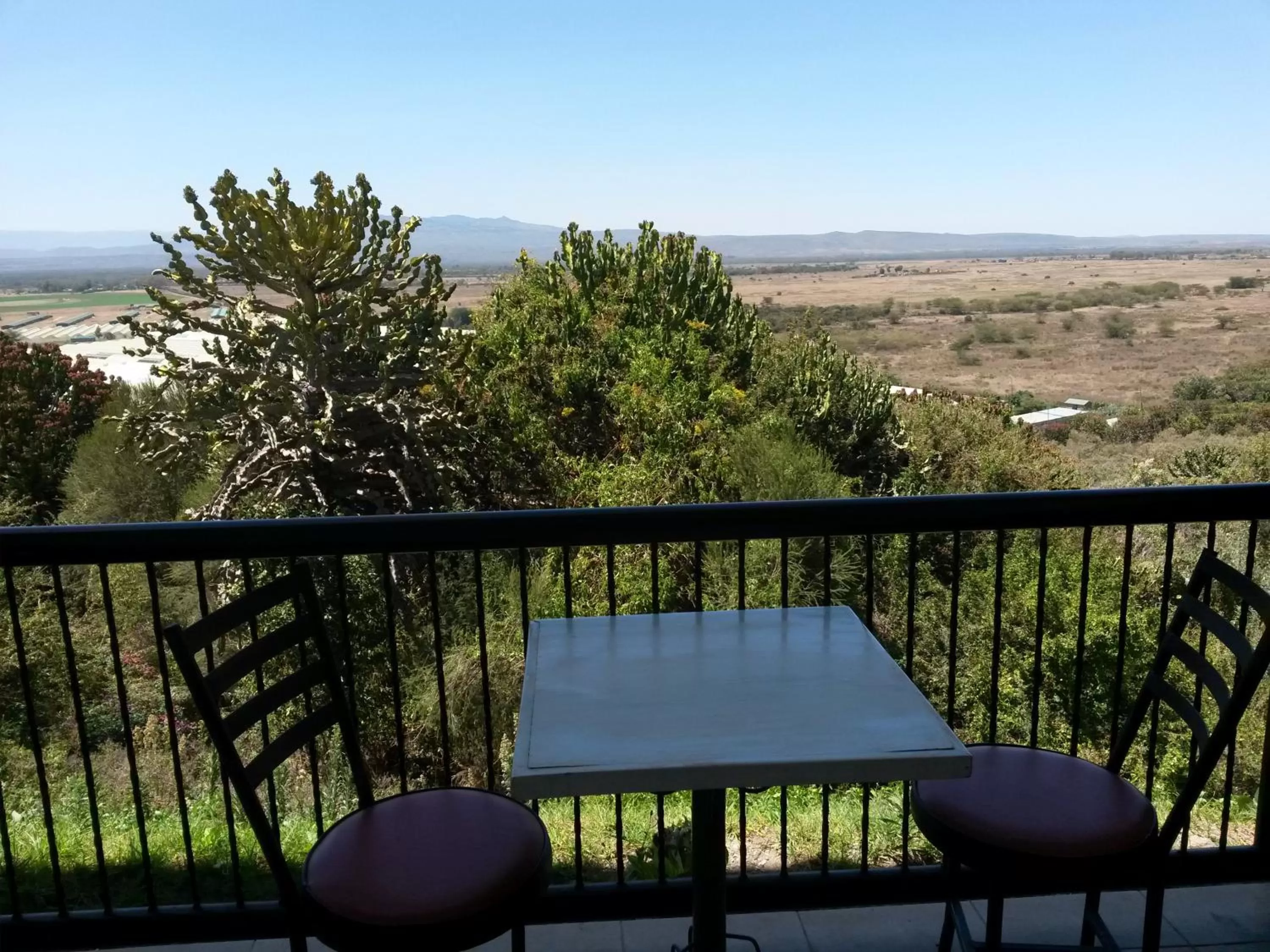 View (from property/room) in Mwanzo Lodge