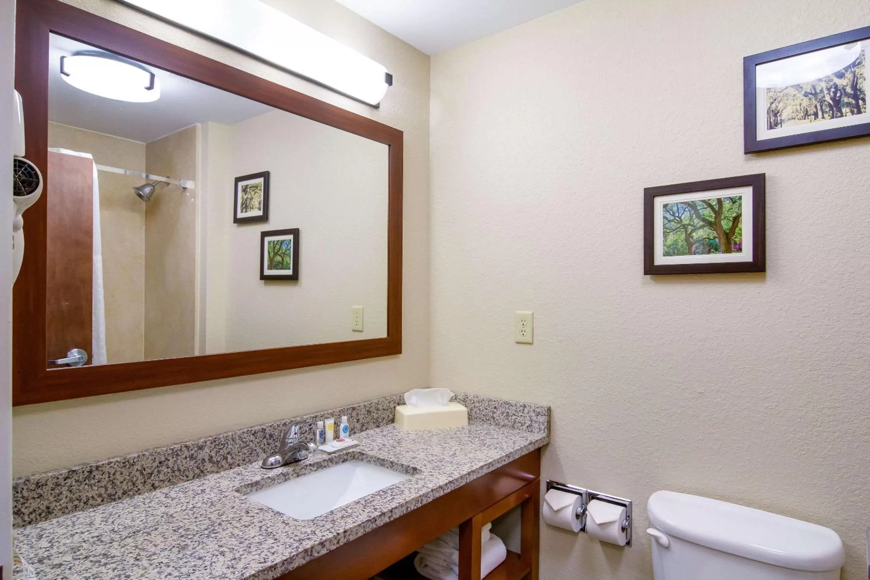 Bathroom in Comfort Inn Blackshear Hwy 84