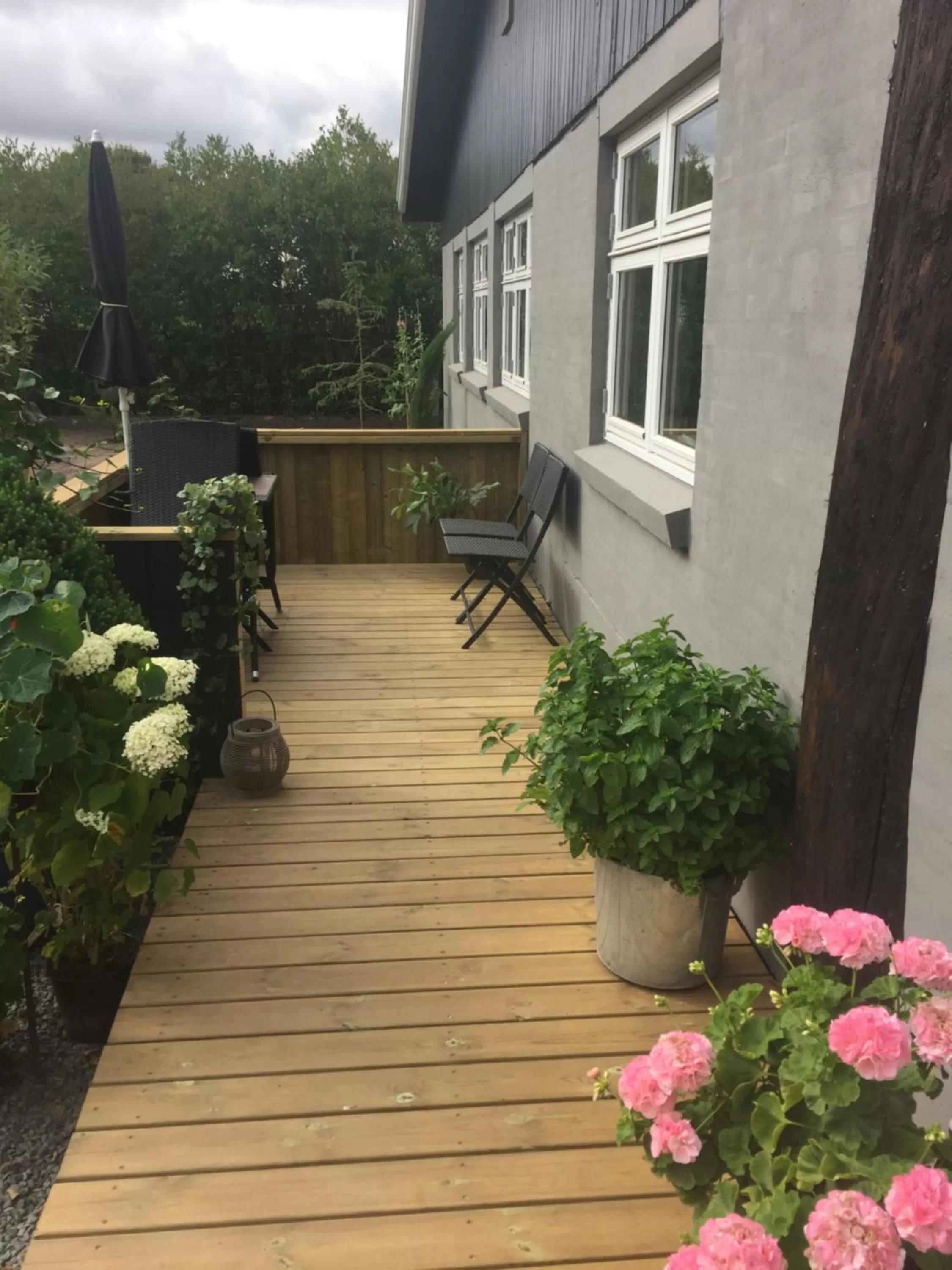 Natural landscape, Property Building in Molino