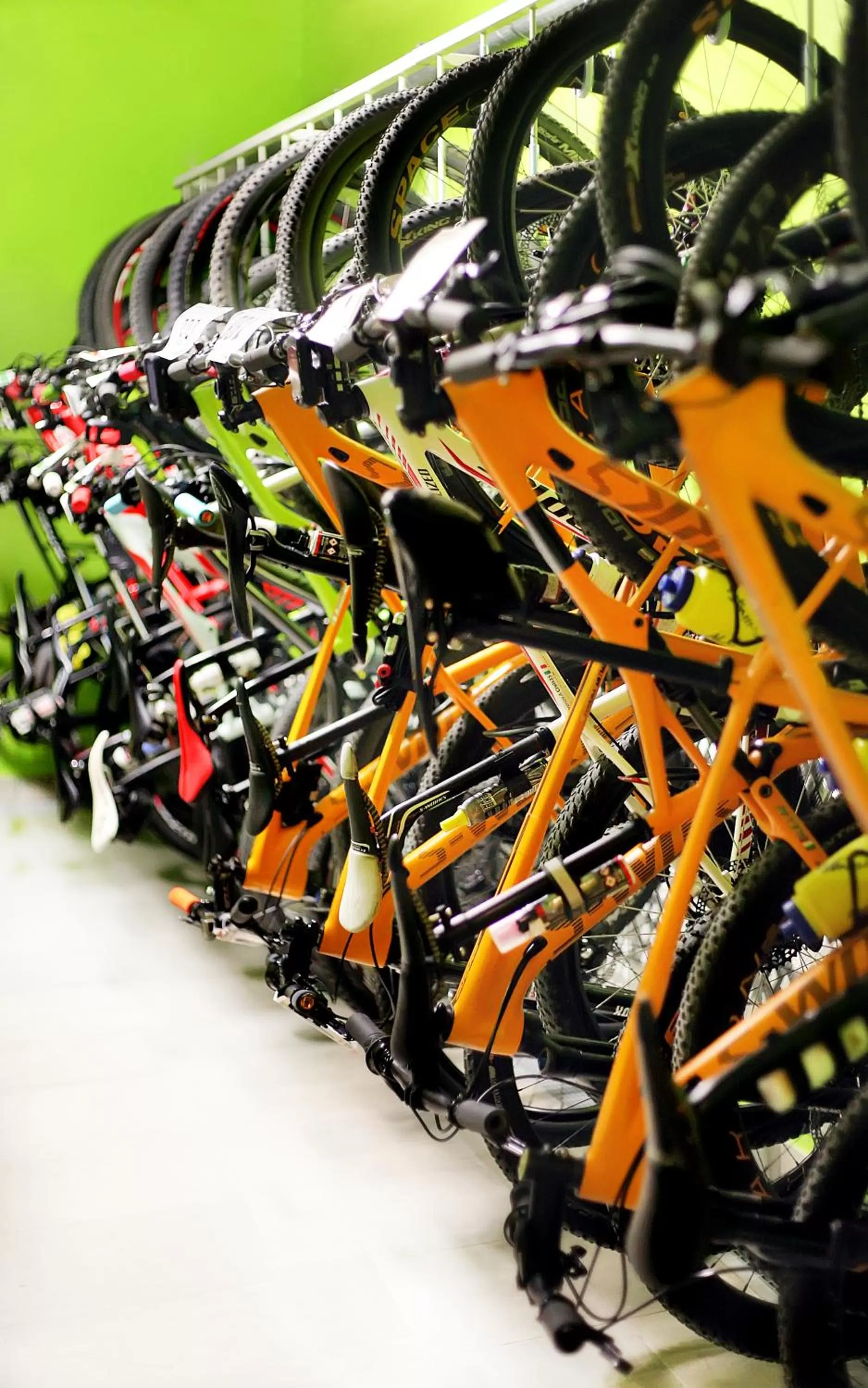 Cycling in Best Western Plus Soave Hotel