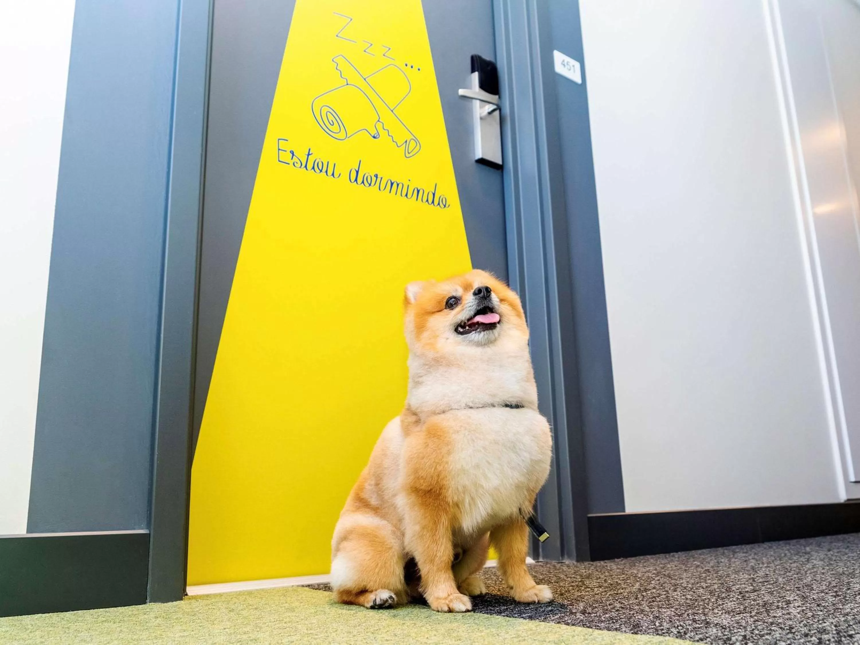 Pets in ibis budget Sao Caetano