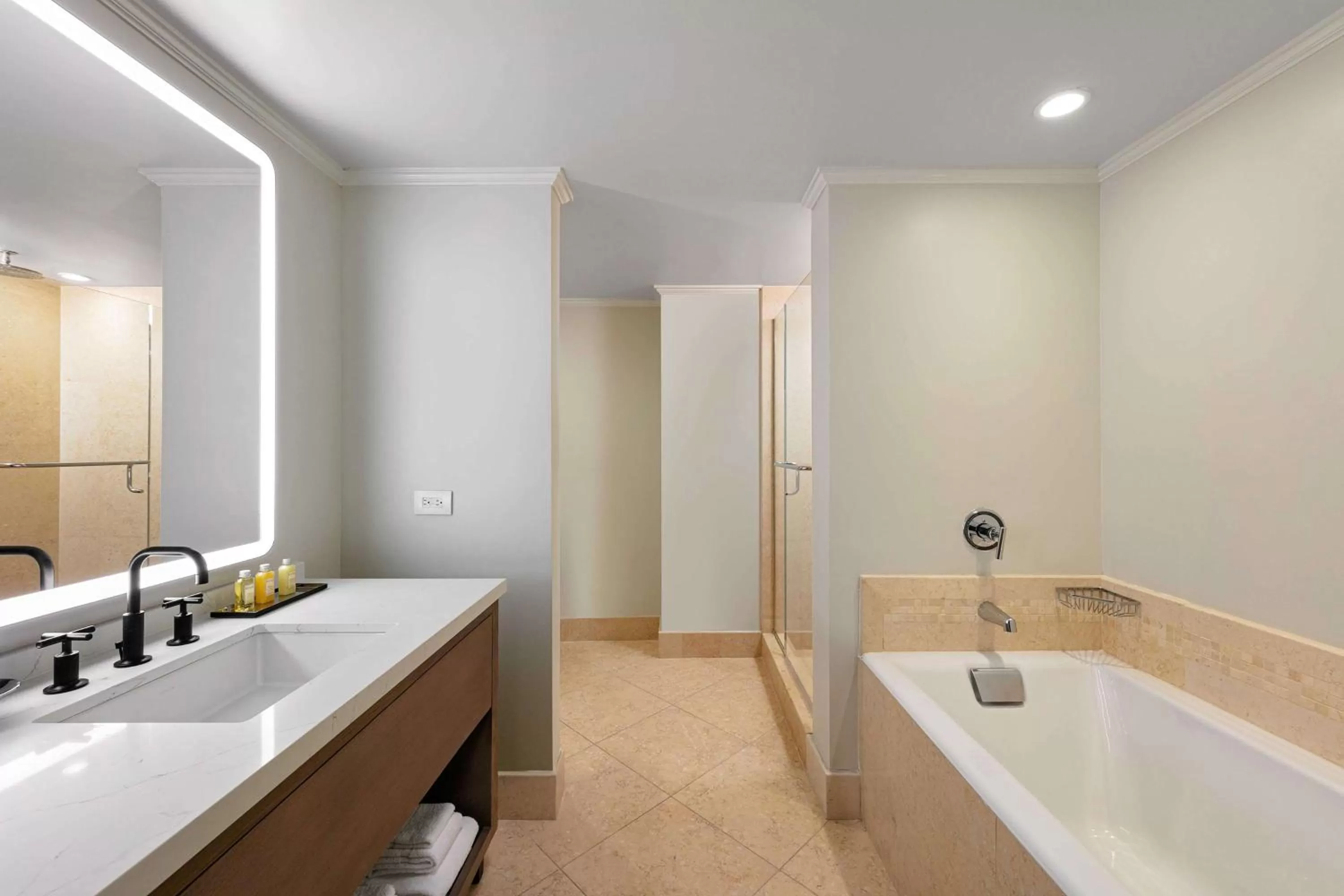 Bathroom in The Royal Sonesta Chicago Downtown