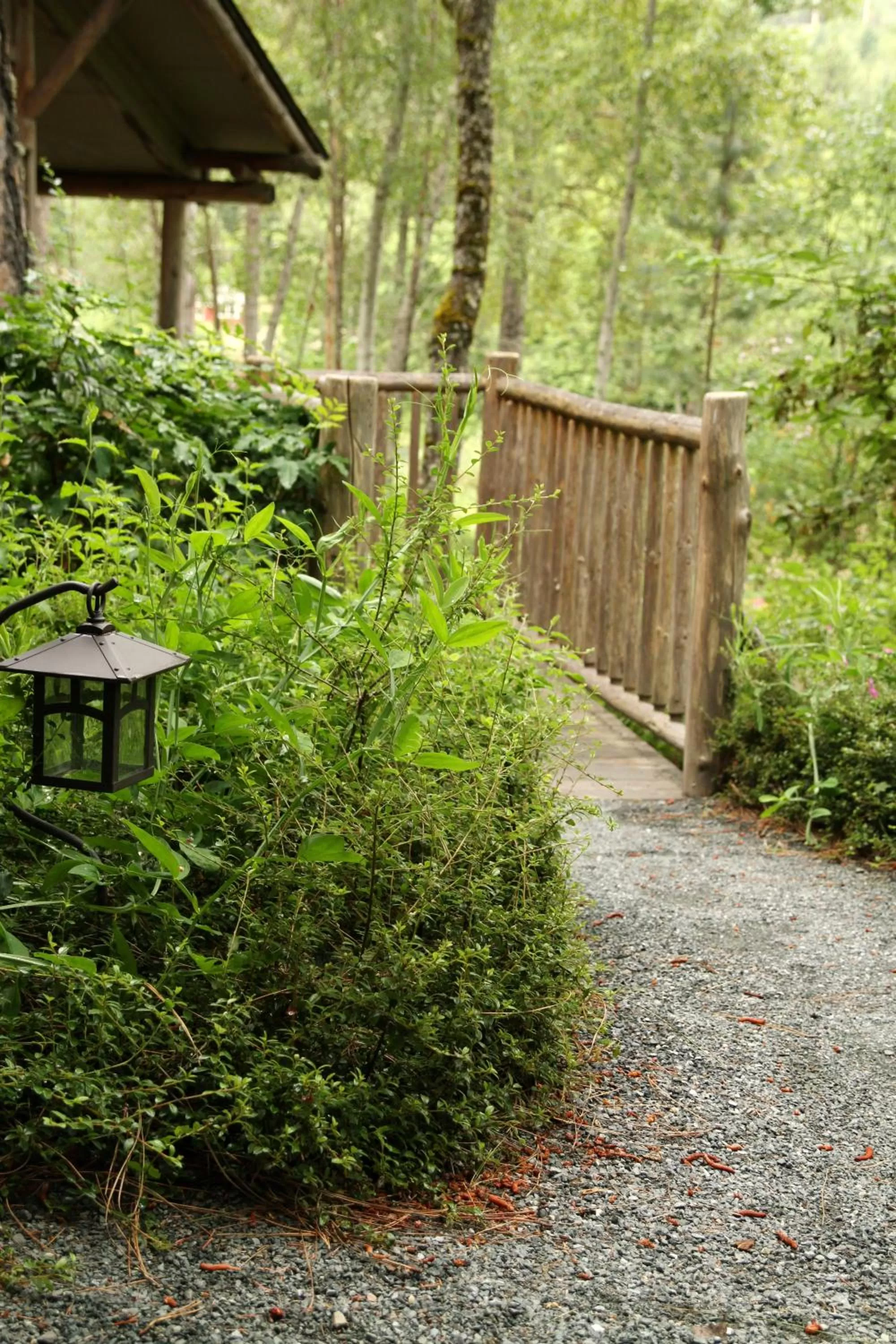 Garden in Weasku Inn