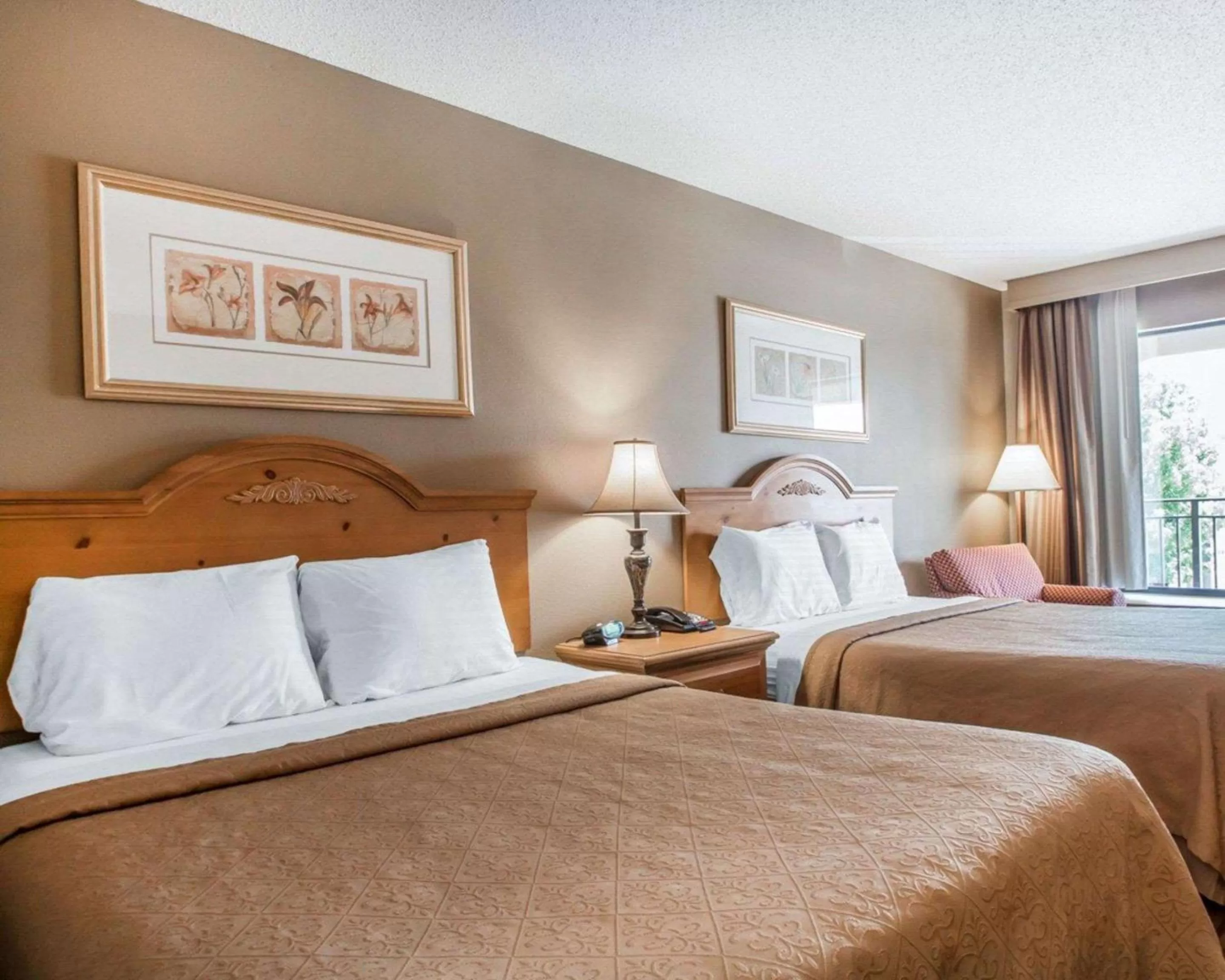 Photo of the whole room, Bed in Quality Inn US65 & E Battlefield Rd Springfield