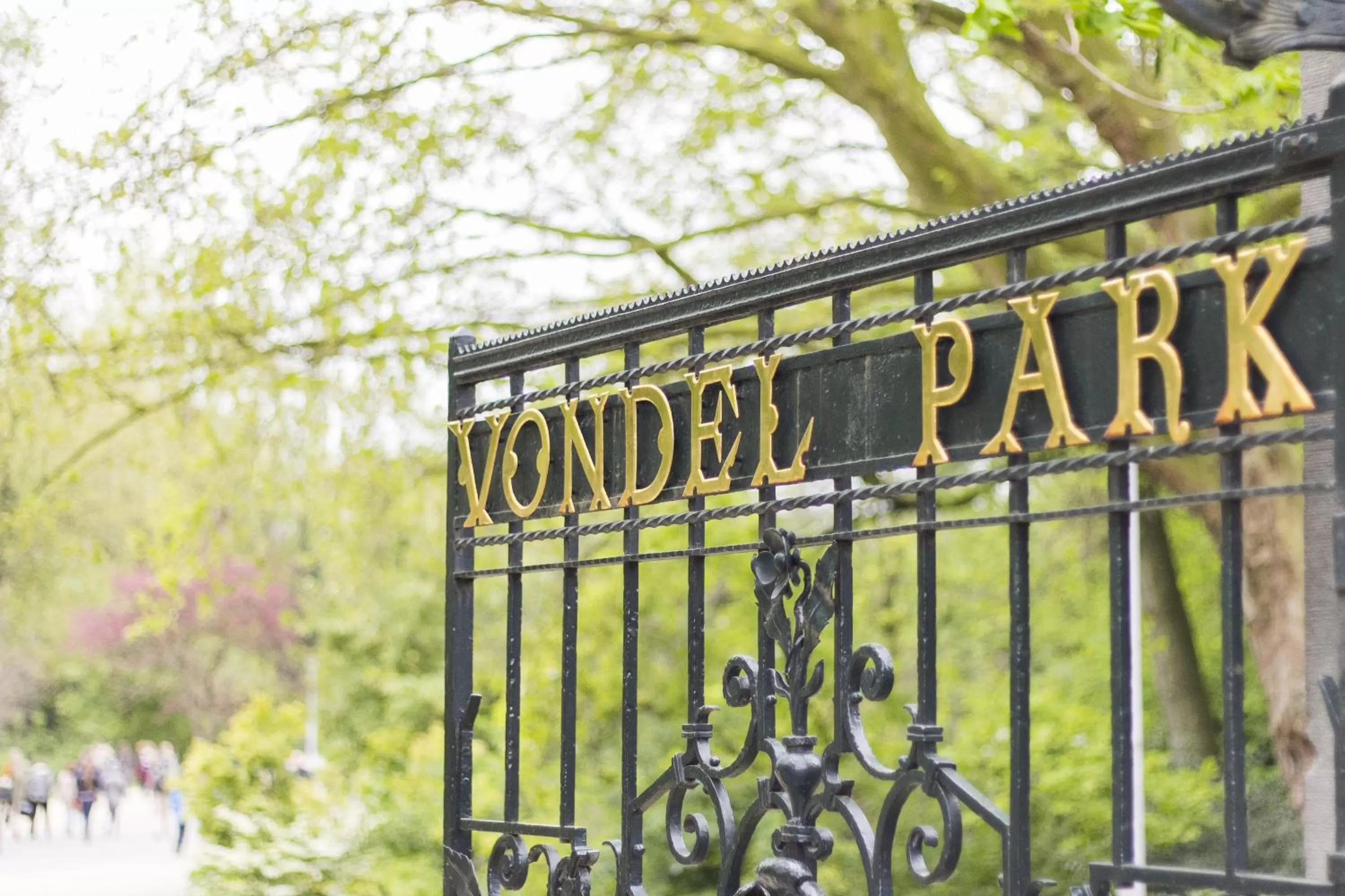 Area and facilities in Apollofirst Boutique Hotel