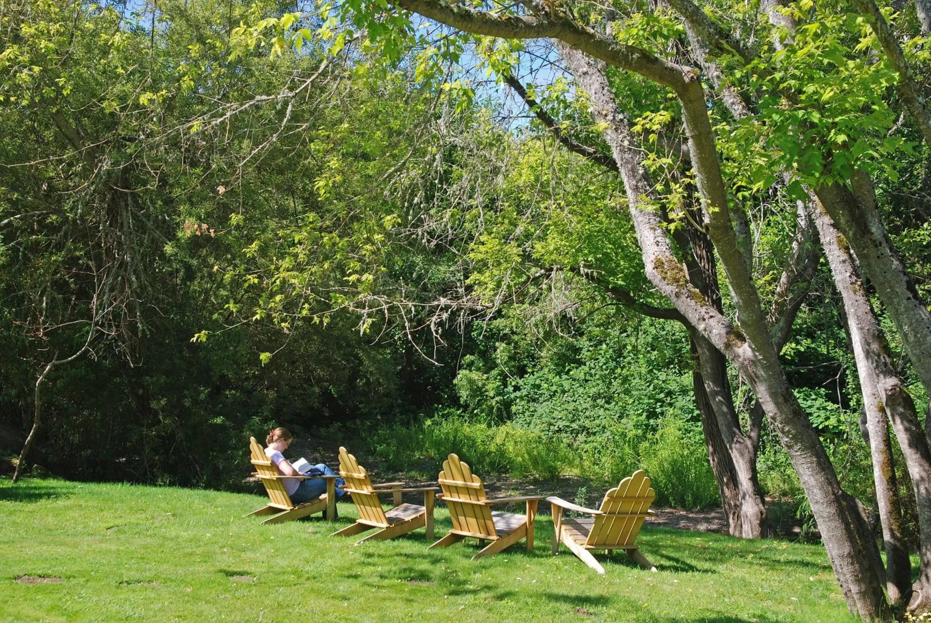 Day in Olema House at Point Reyes