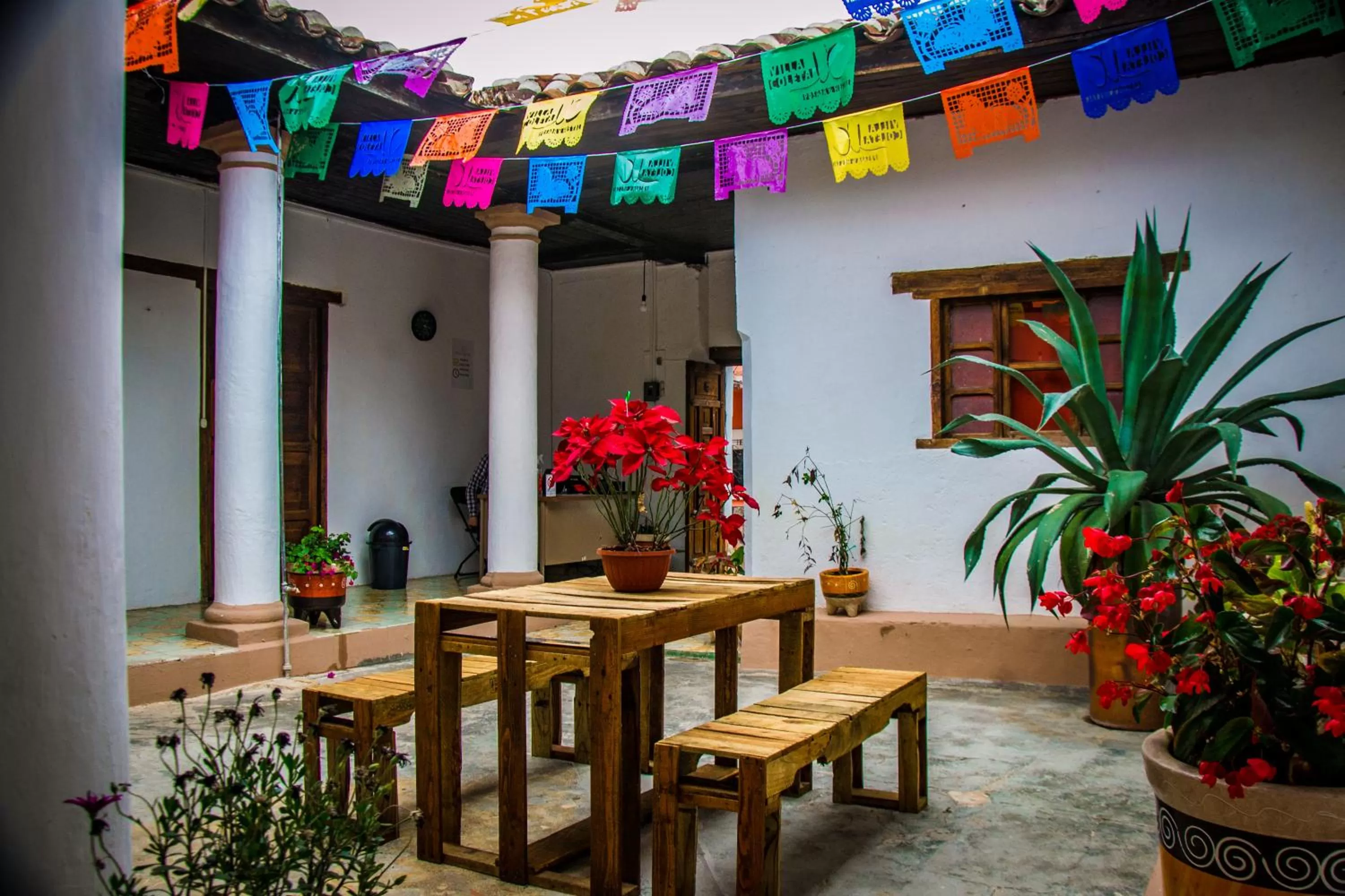 Patio in Villa Coleta