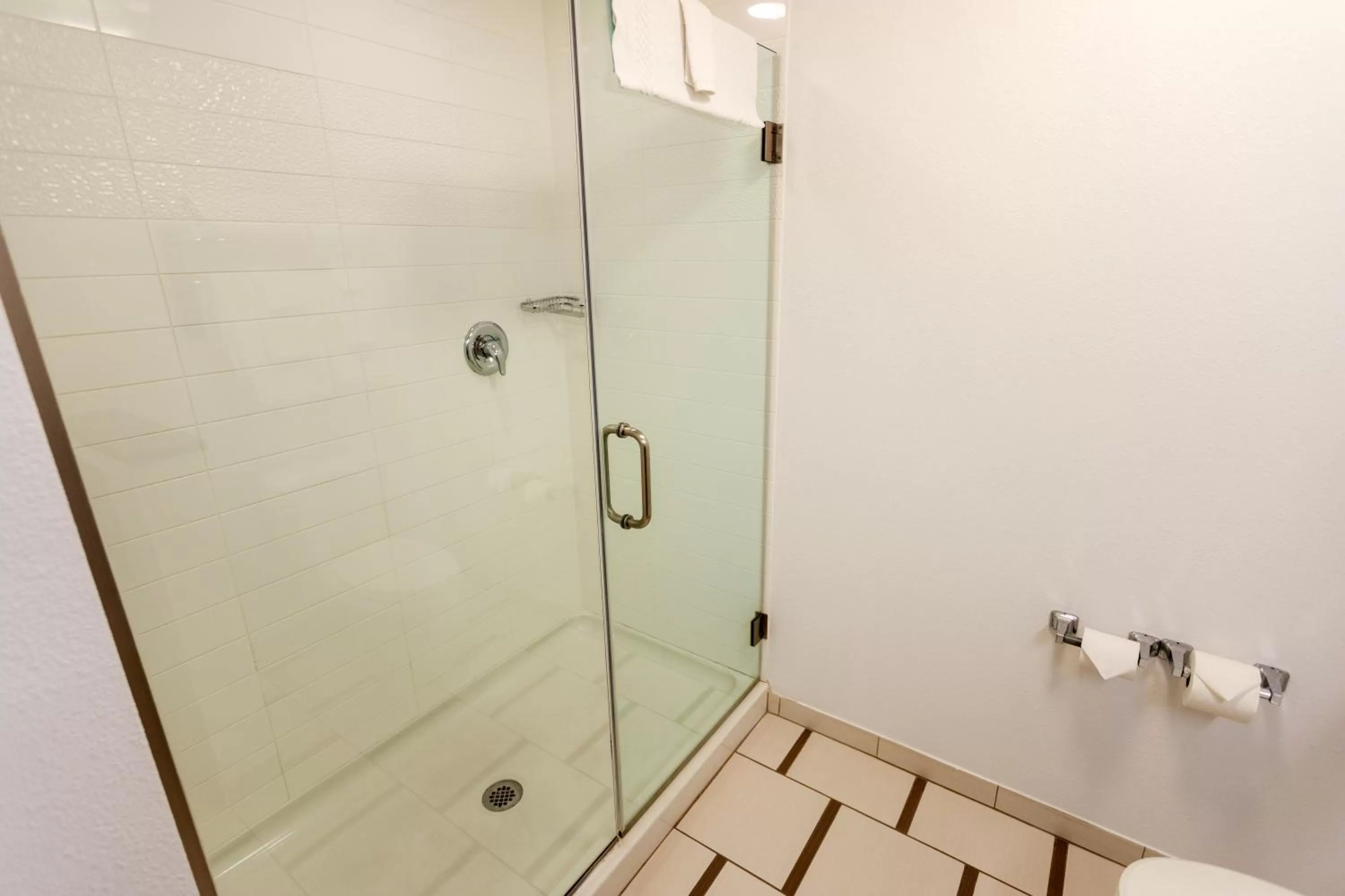 Shower in Fairfield Inn & Suites by Marriott Athens I-65