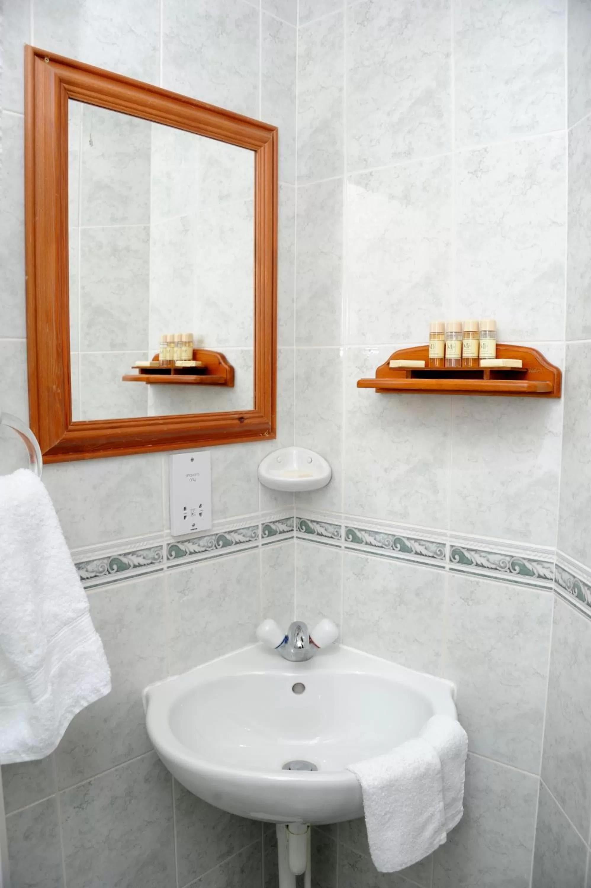 Bathroom in The Potters Arms