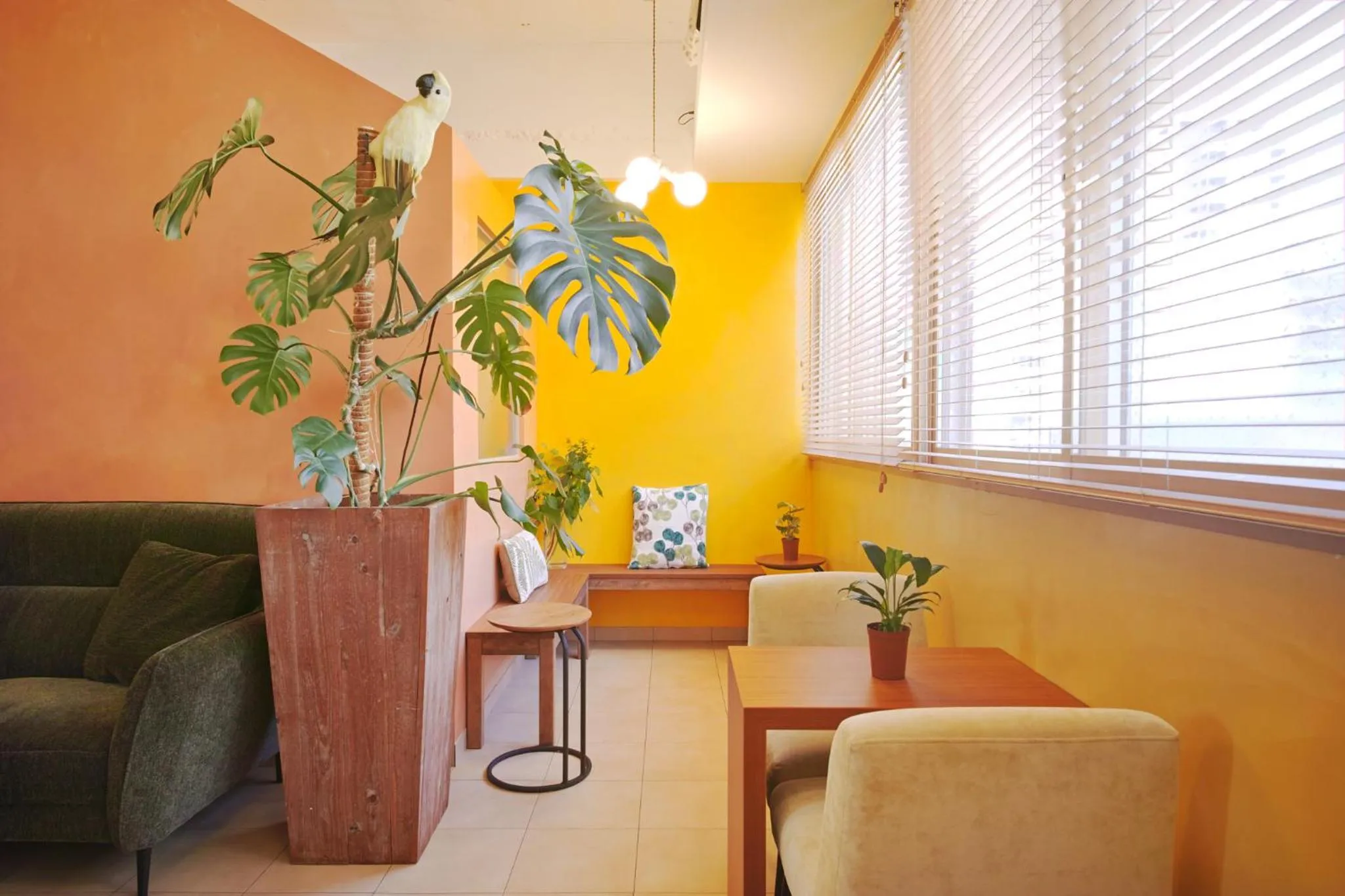 Communal lounge/ TV room in Hostel Casa Noda