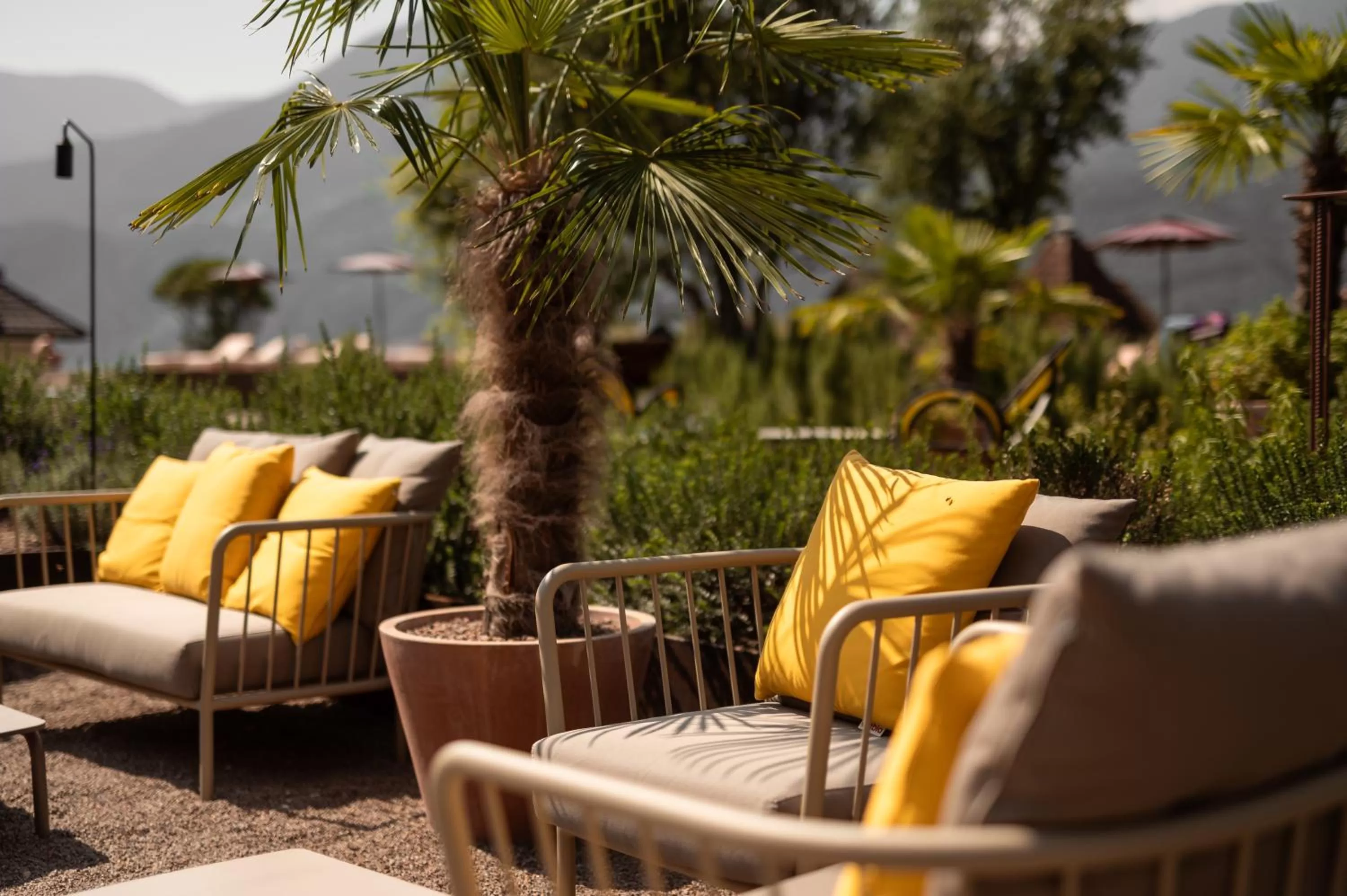 Balcony/Terrace in Hotel Muchele