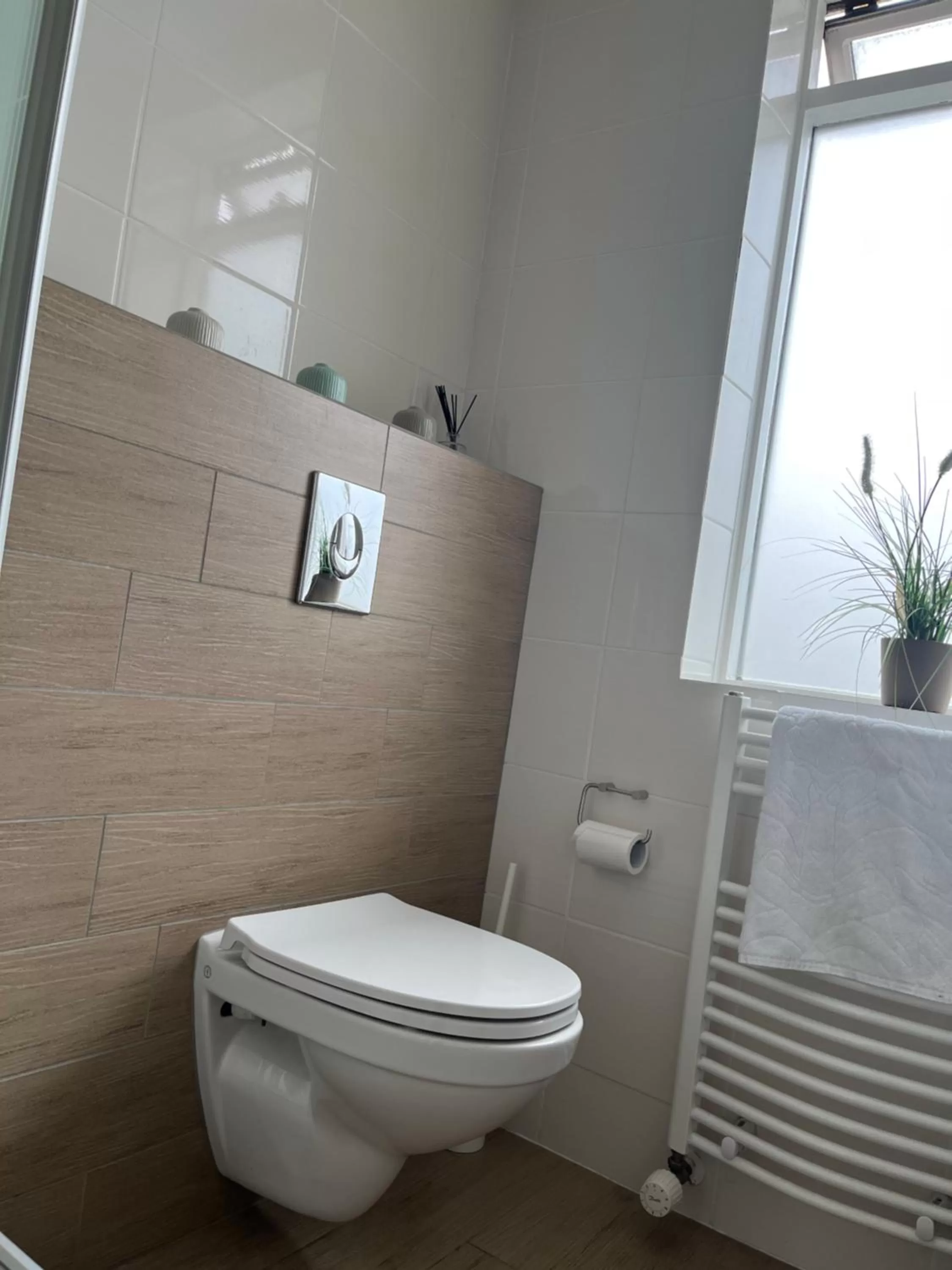 Toilet in Snorri's Guesthouse