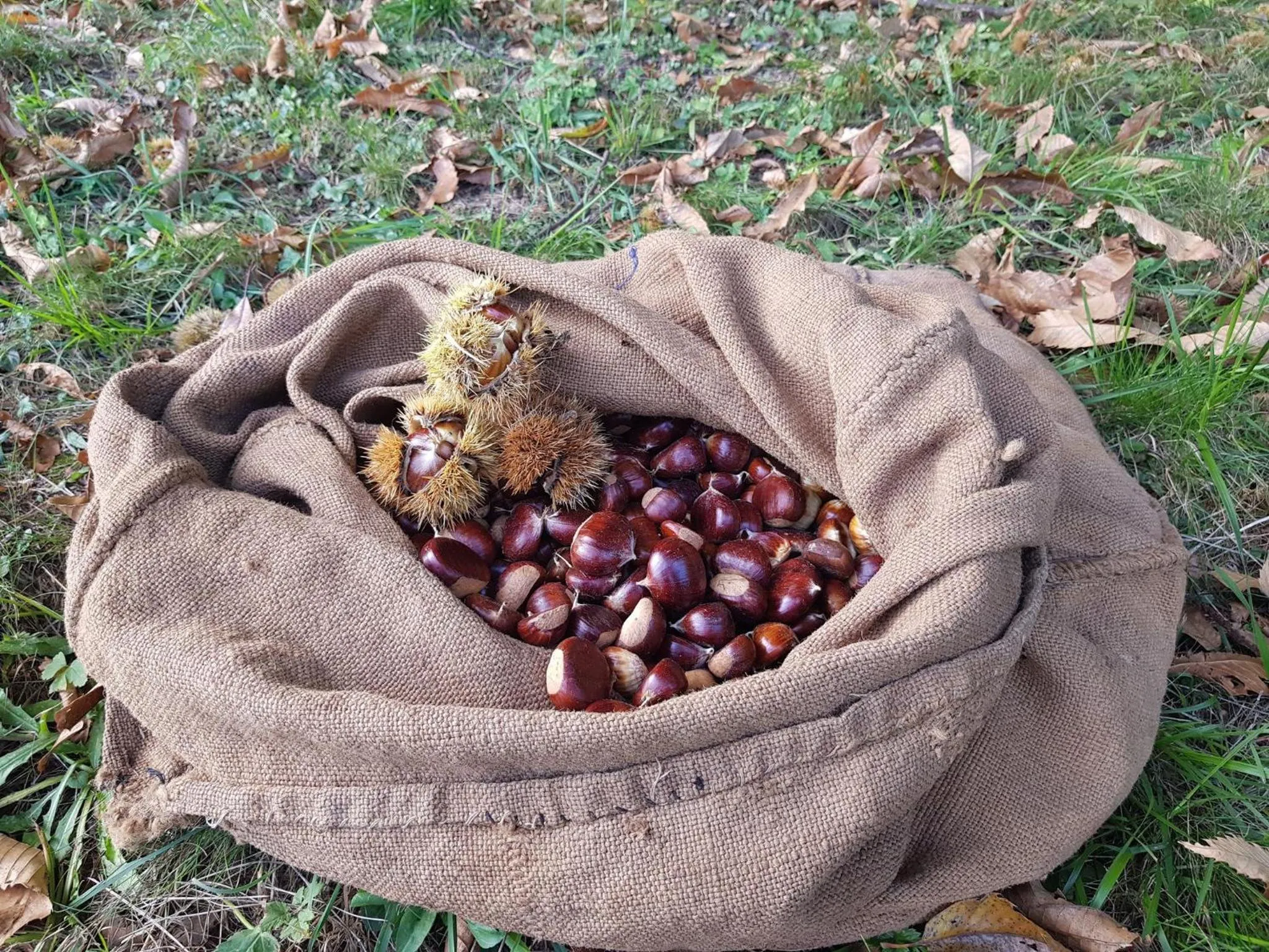 Food in Il Sogno Della Vita AgriResort - Country Rooms & Suites