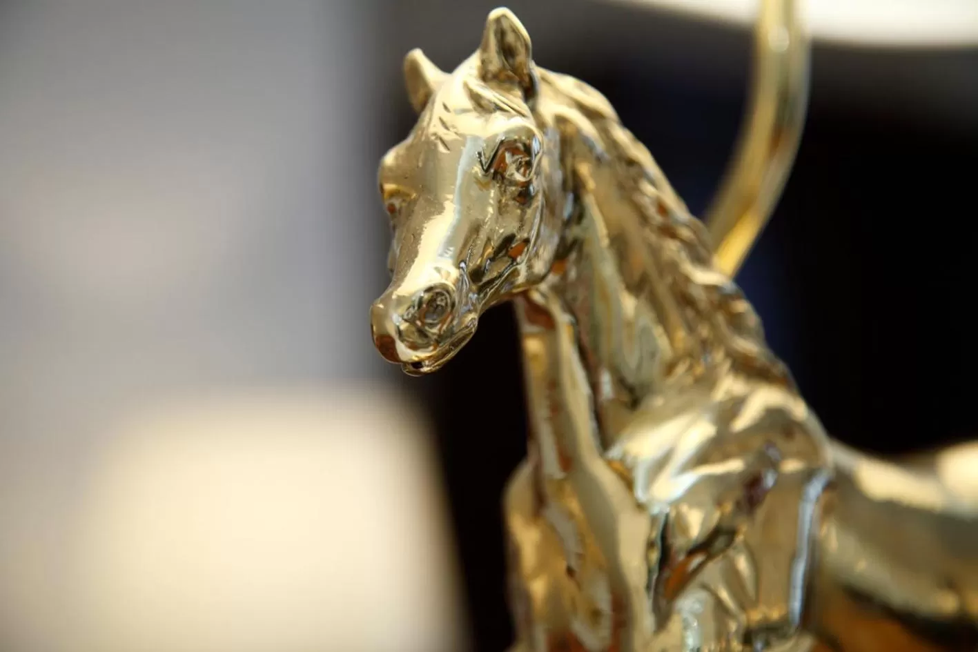 Animals in Gebhards Hotel