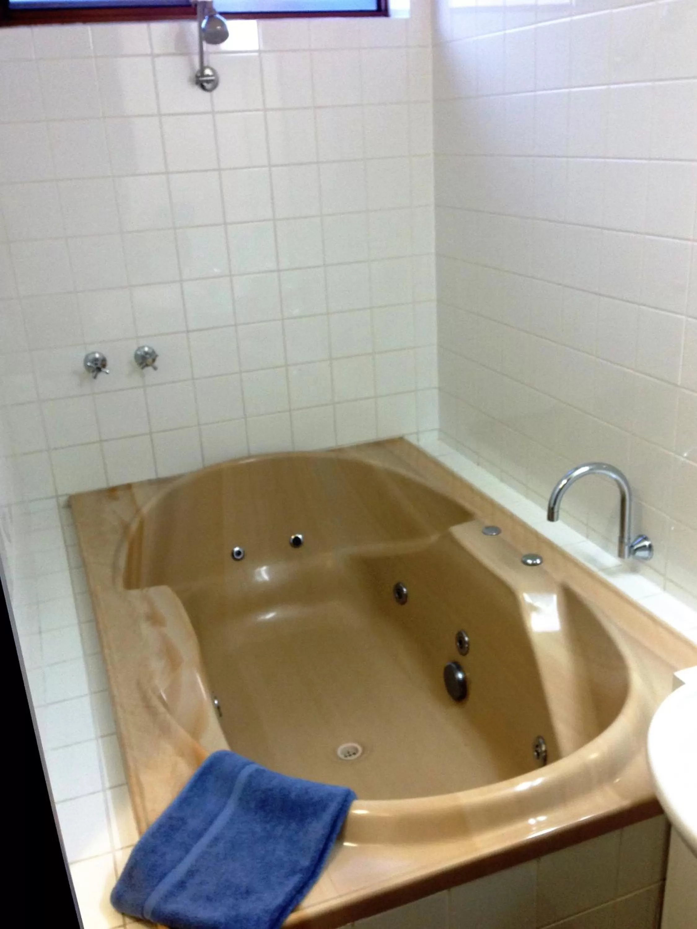 Shower in Abel Tasman Waterfront Motel