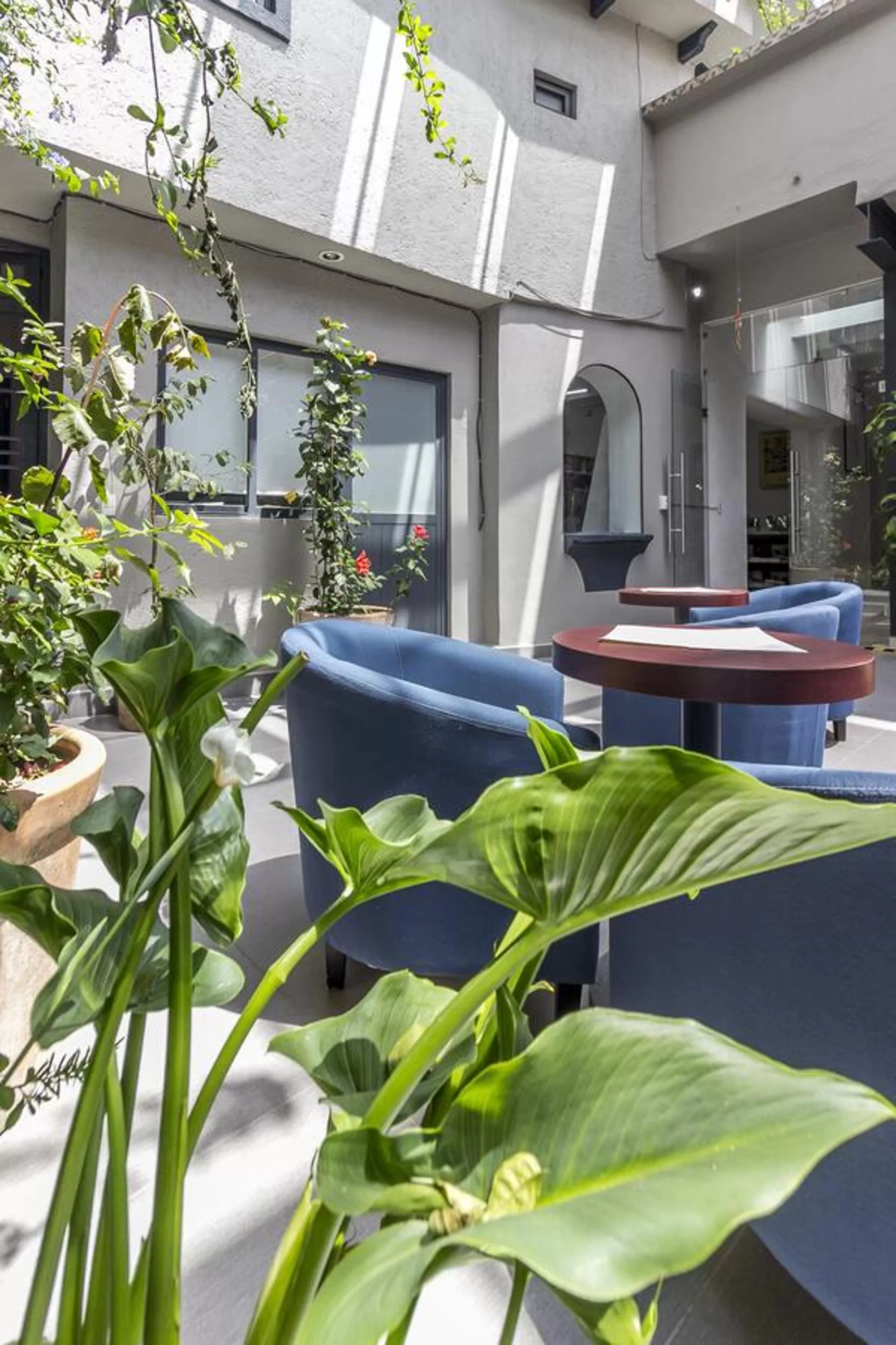 Restaurant/places to eat in Arawi Hotel Boutique