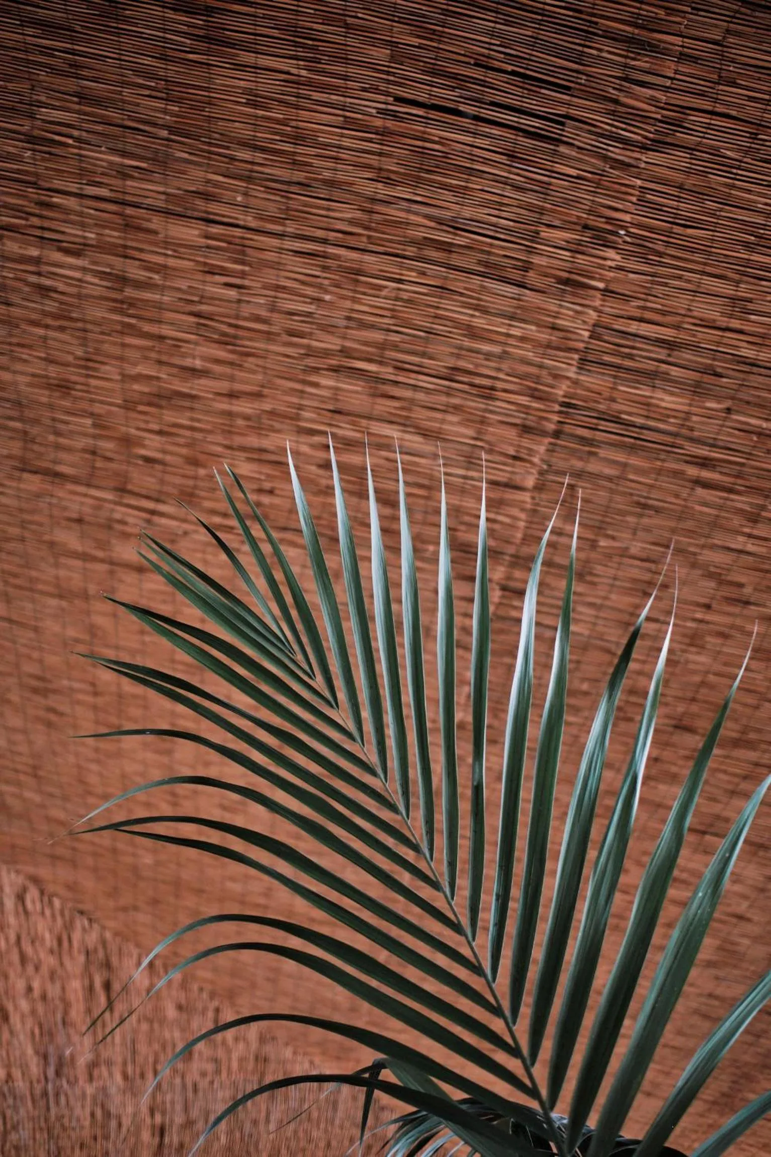 Living room in Prinsotel La Pineda