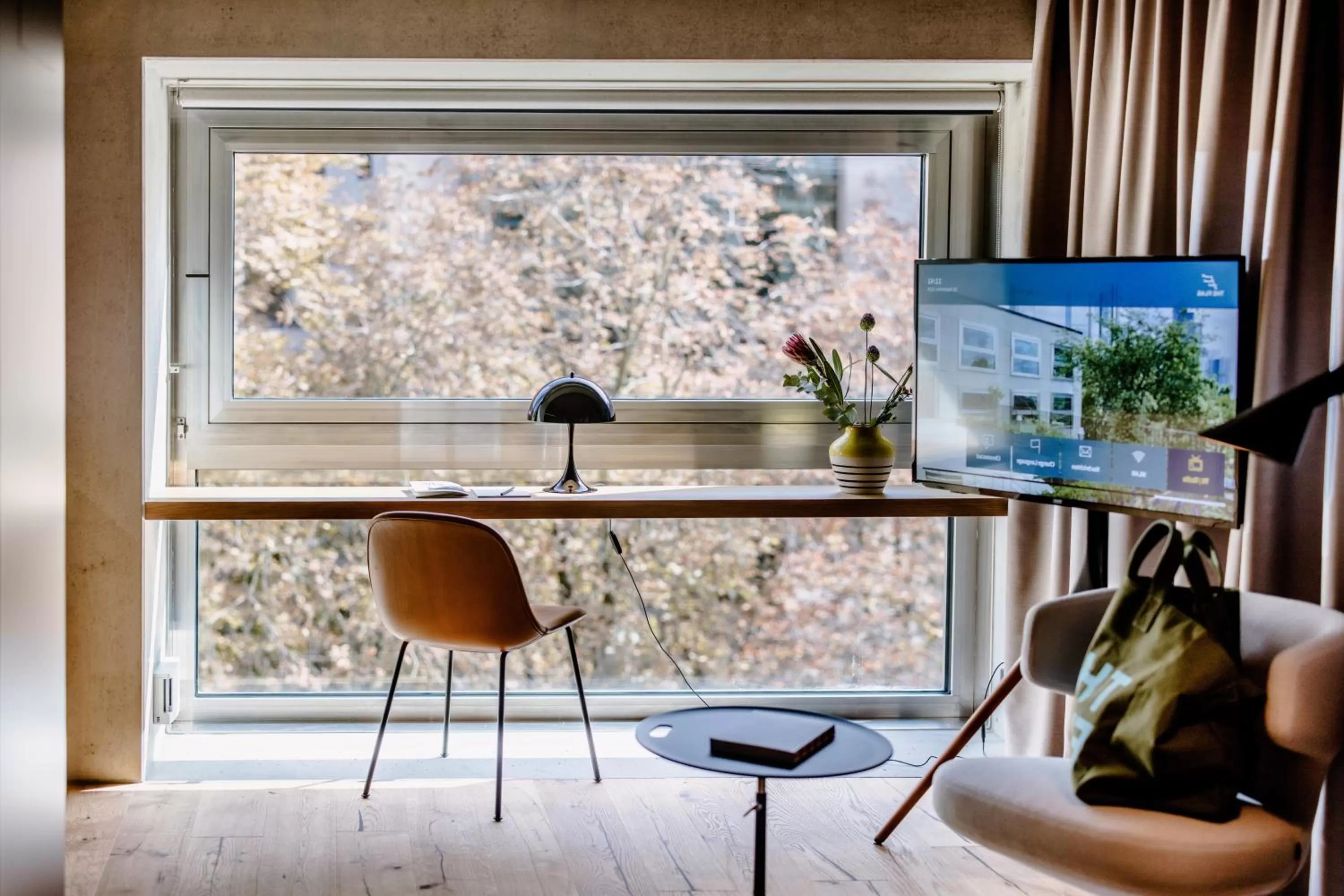 TV and multimedia in THE FLAG West M.