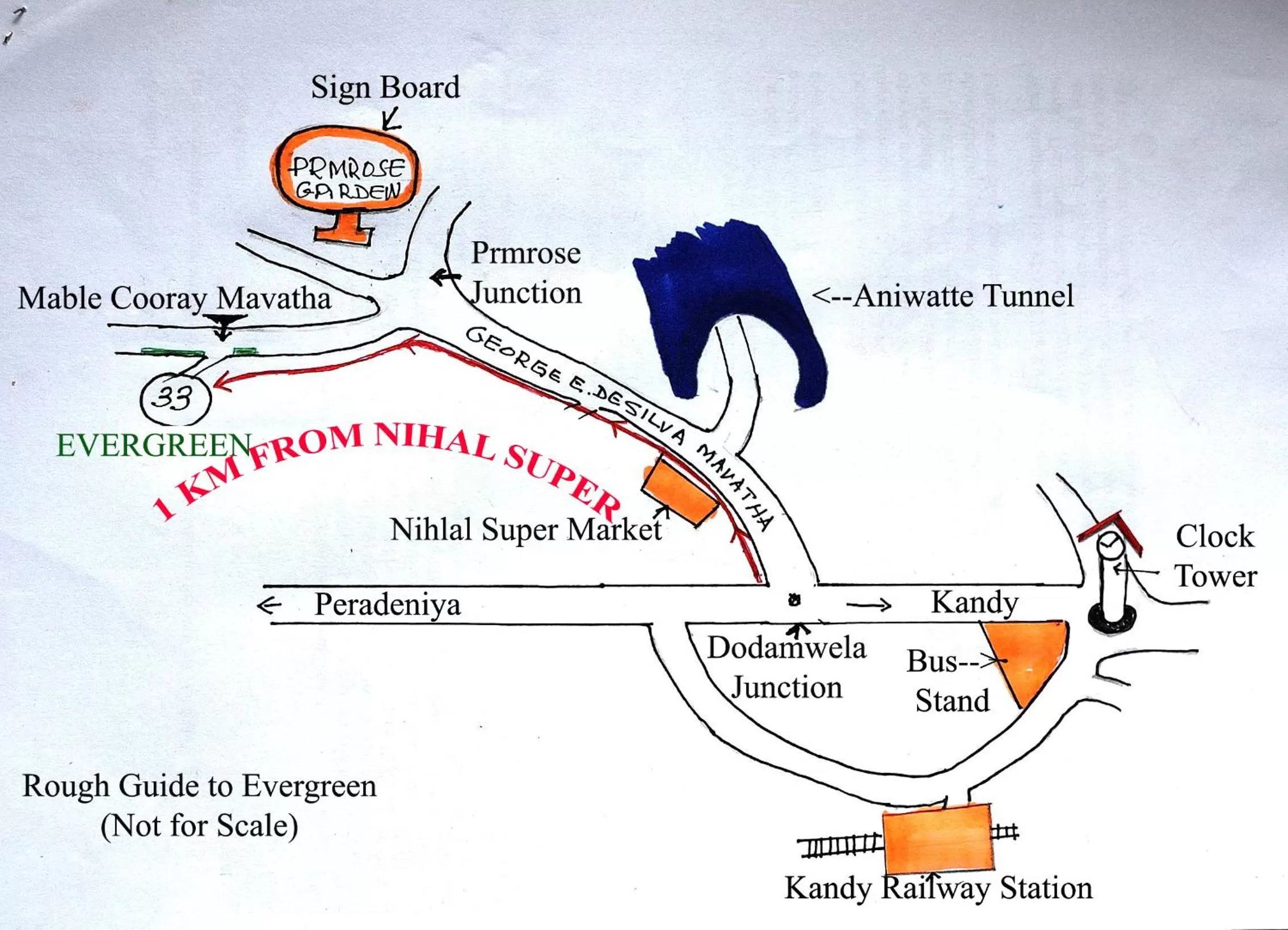Other, Bird's-eye View in Evergreen