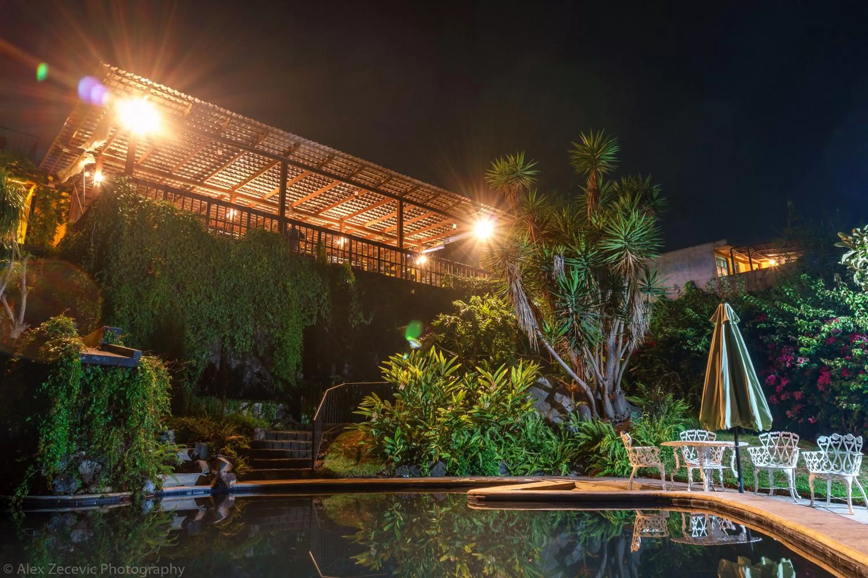 Restaurant/places to eat, Swimming Pool in Hotel Toliman