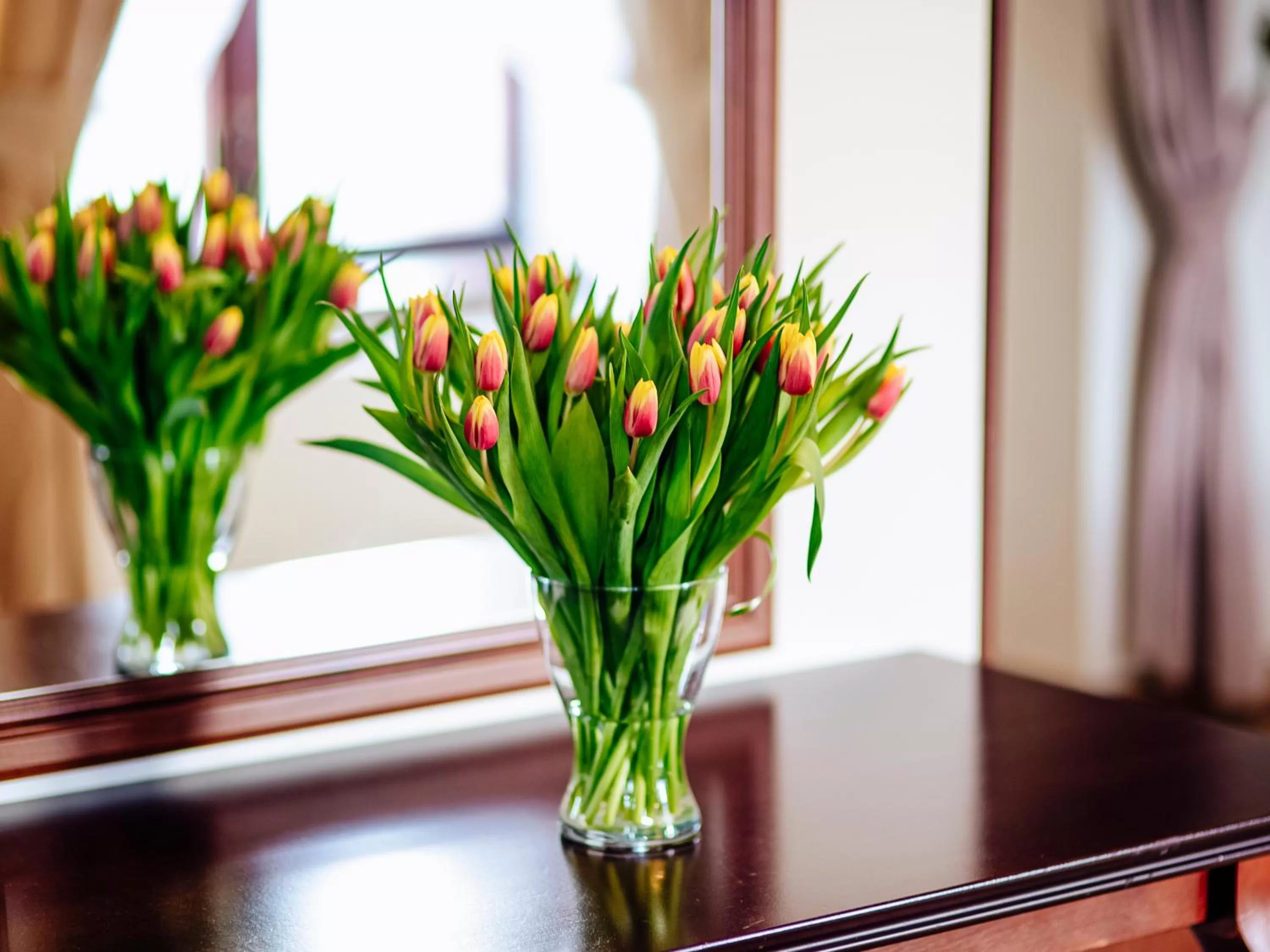View (from property/room) in Hotel Zamek Gniew