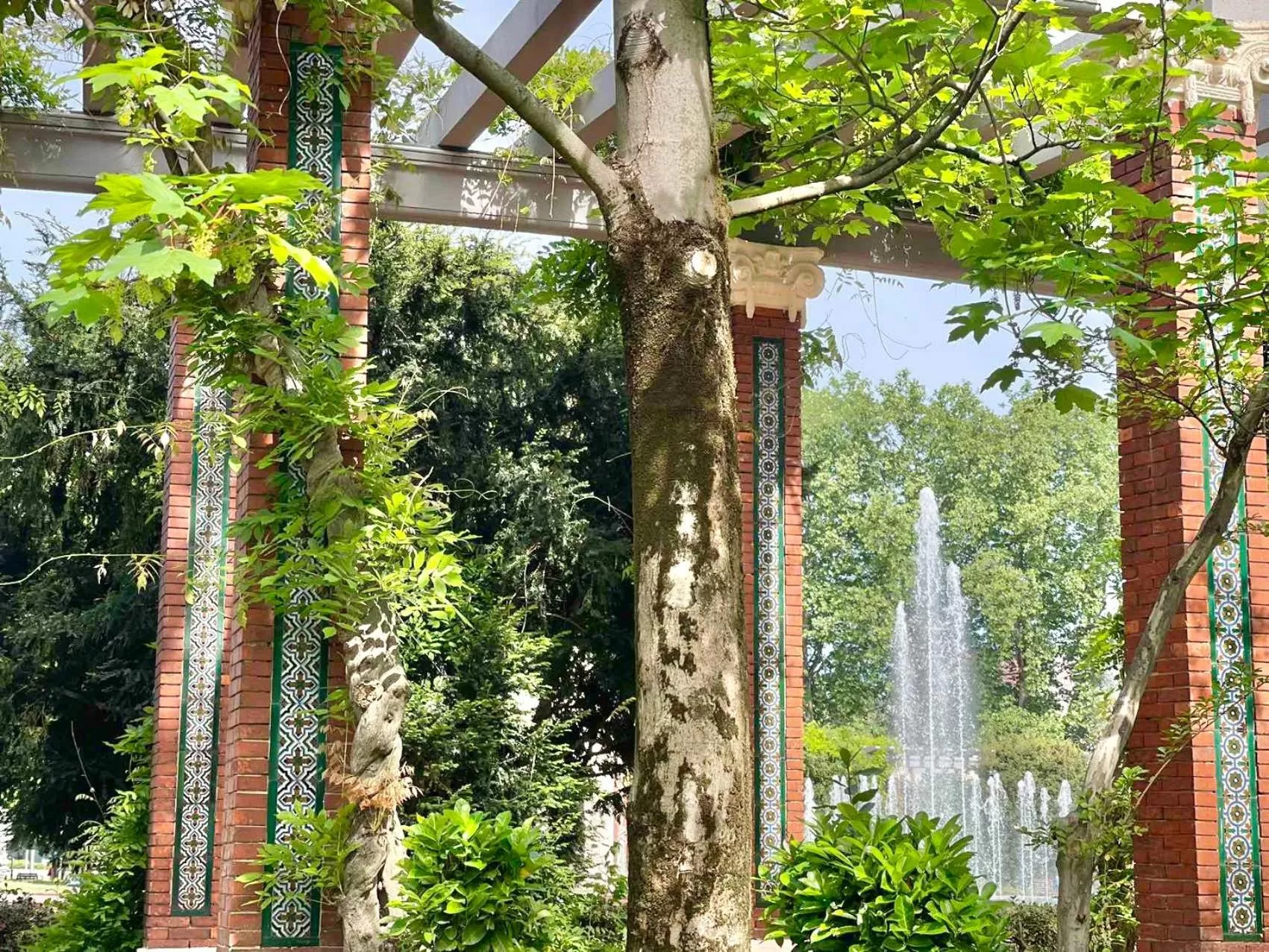 Natural landscape in Hotel Lidar