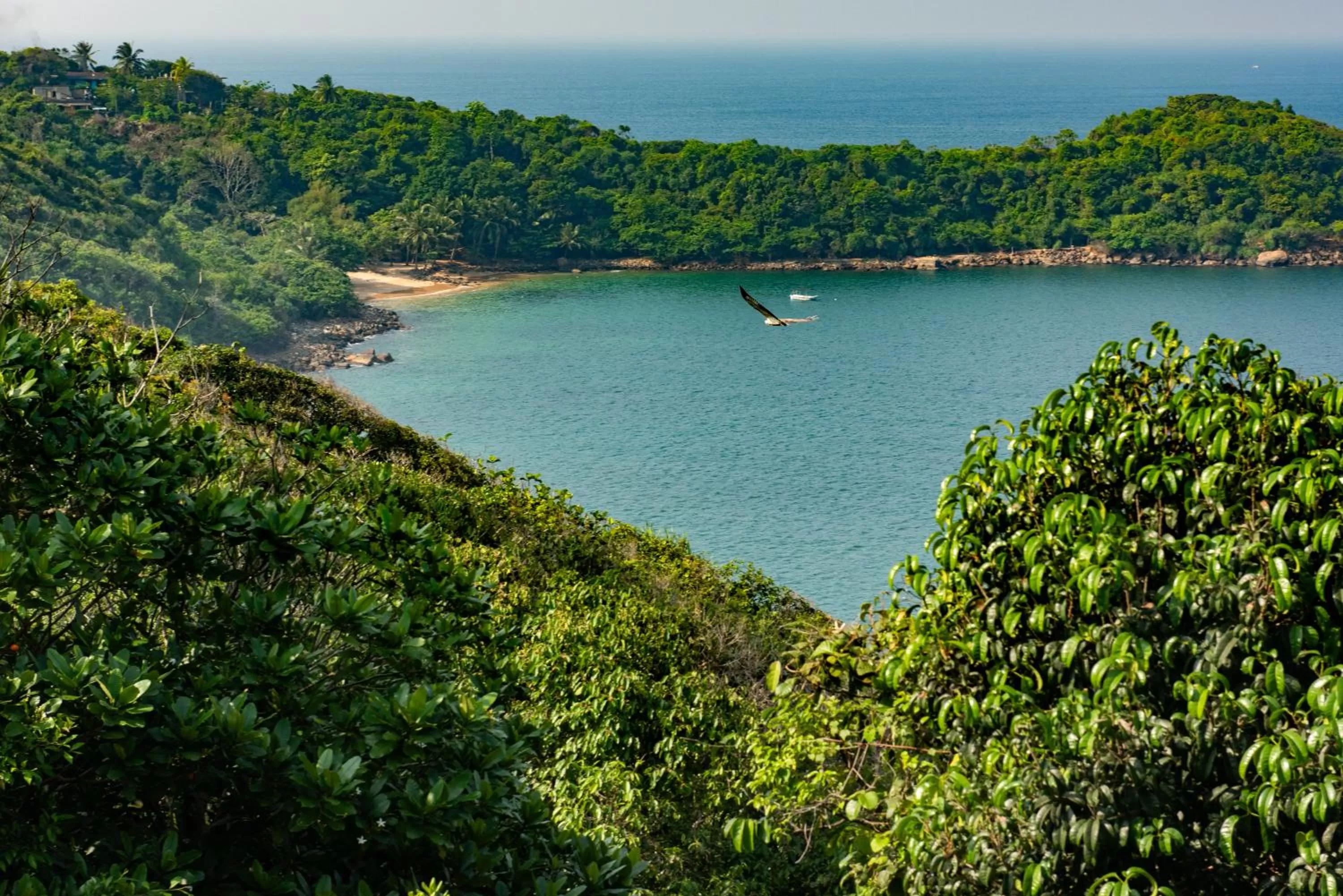 Natural landscape in Agnus Unawatuna