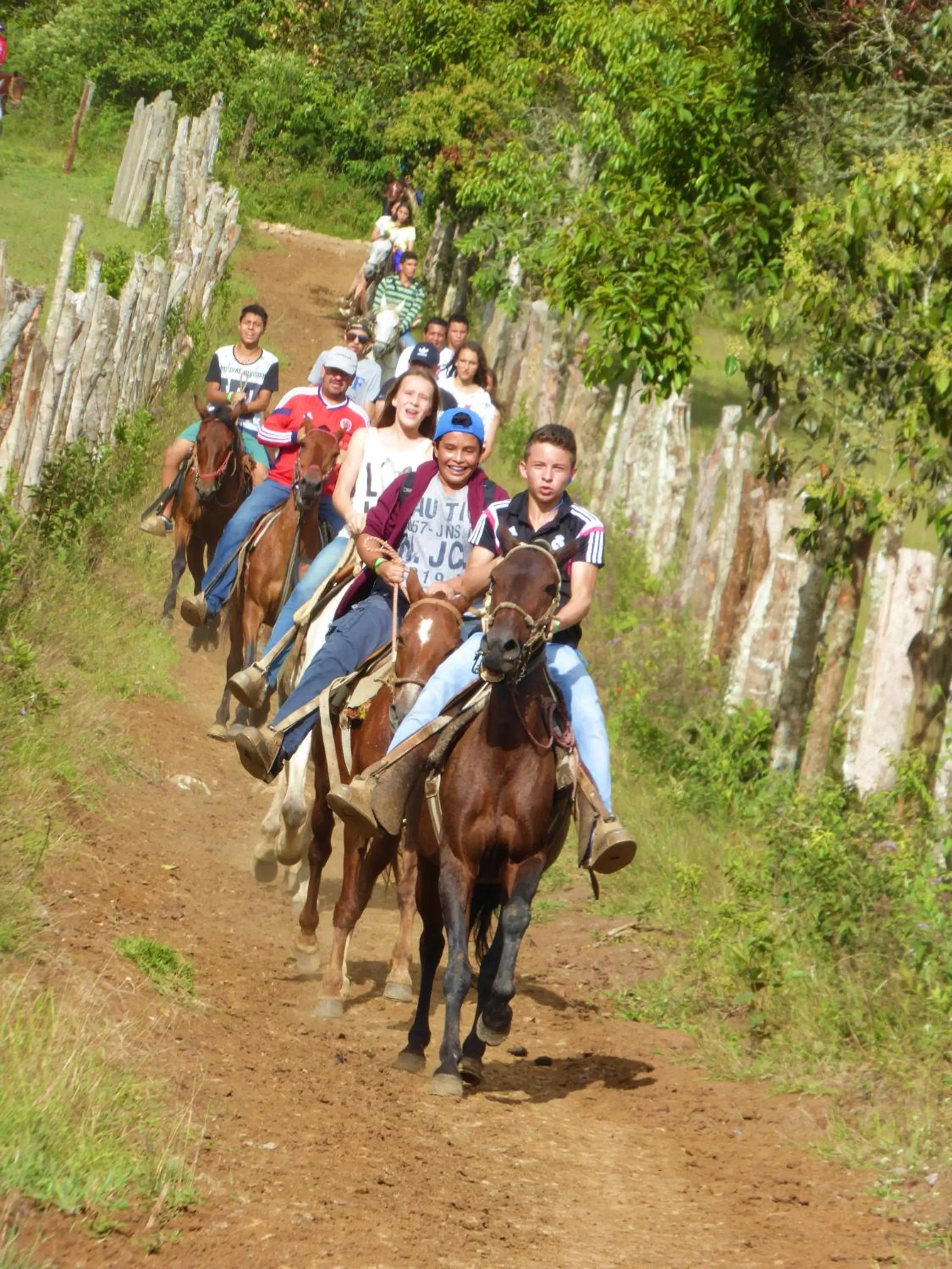 Horse-riding, Horseback Riding in Finca El Cielo