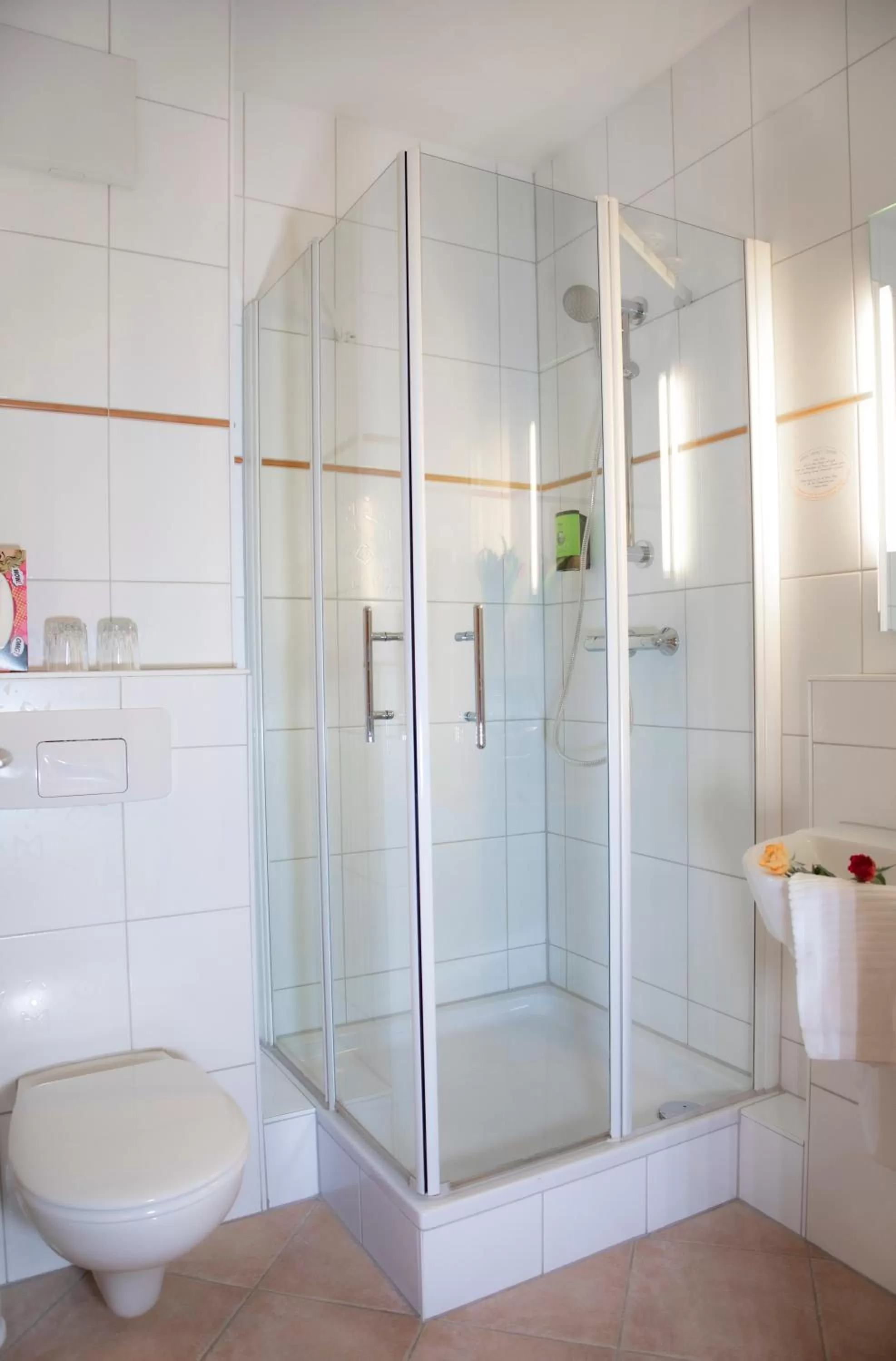 Shower in Friends Hotel Kerpen