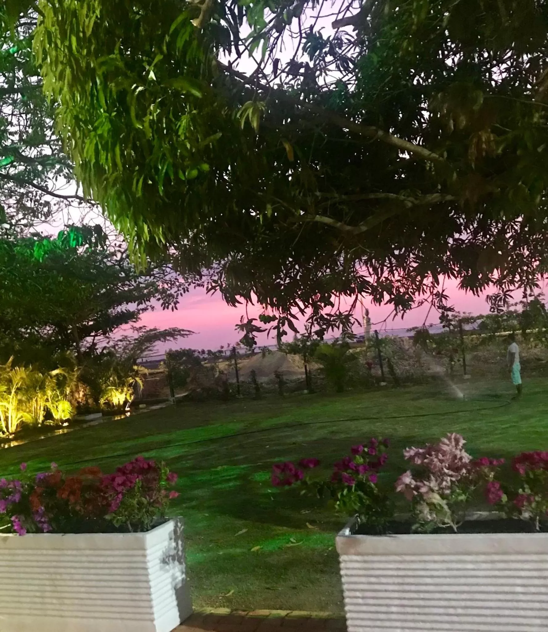 Natural landscape in Porto Bello Hotel Boutique