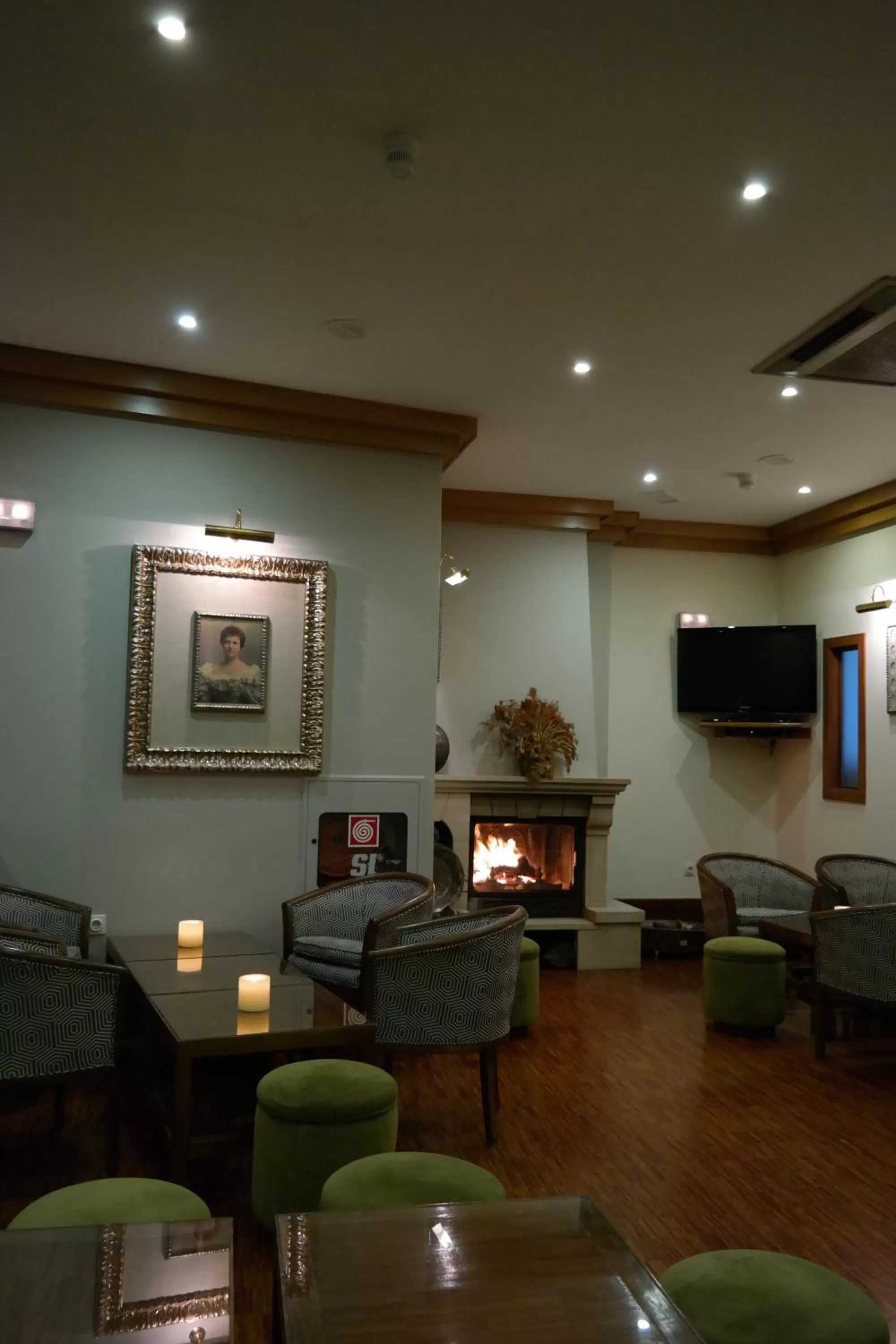 TV and multimedia in Hotel Rainha D. Amélia, Arts & Leisure