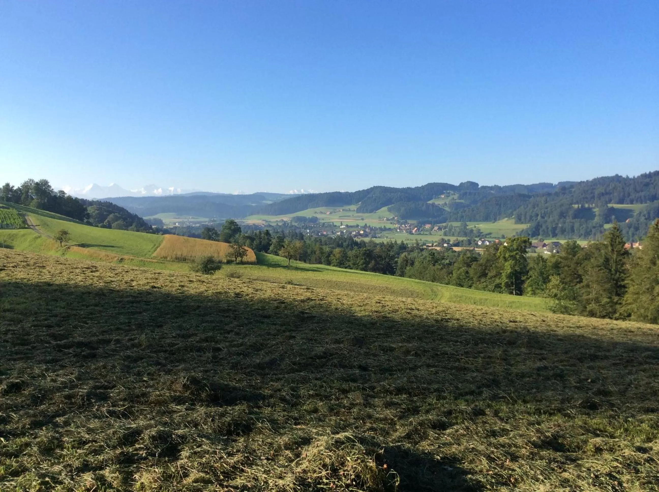 Hiking, Natural Landscape in Landcafe mit Mini Hotel