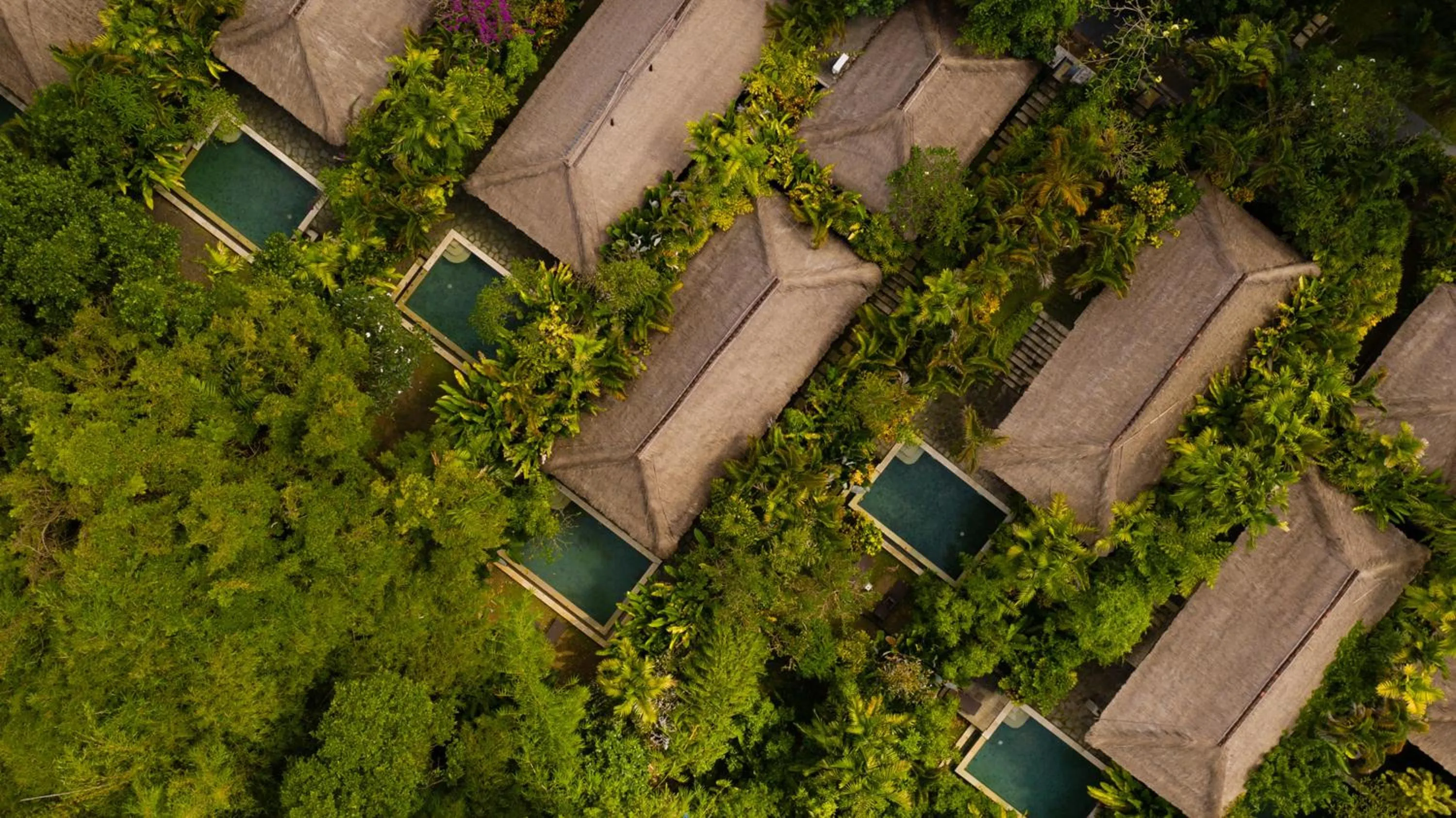 Property building in Villa Canggu by Plataran