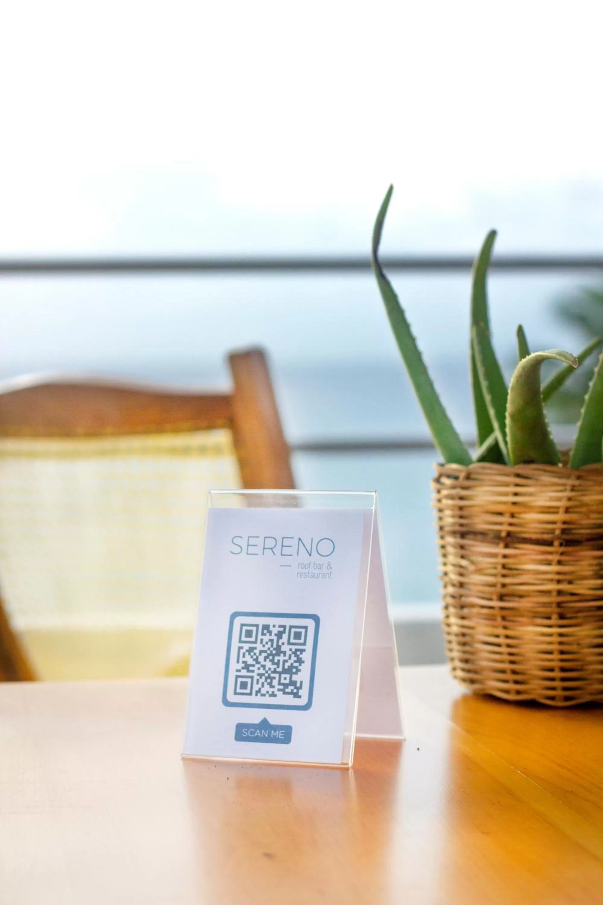 Restaurant/places to eat in Albatros by Bedsfriends