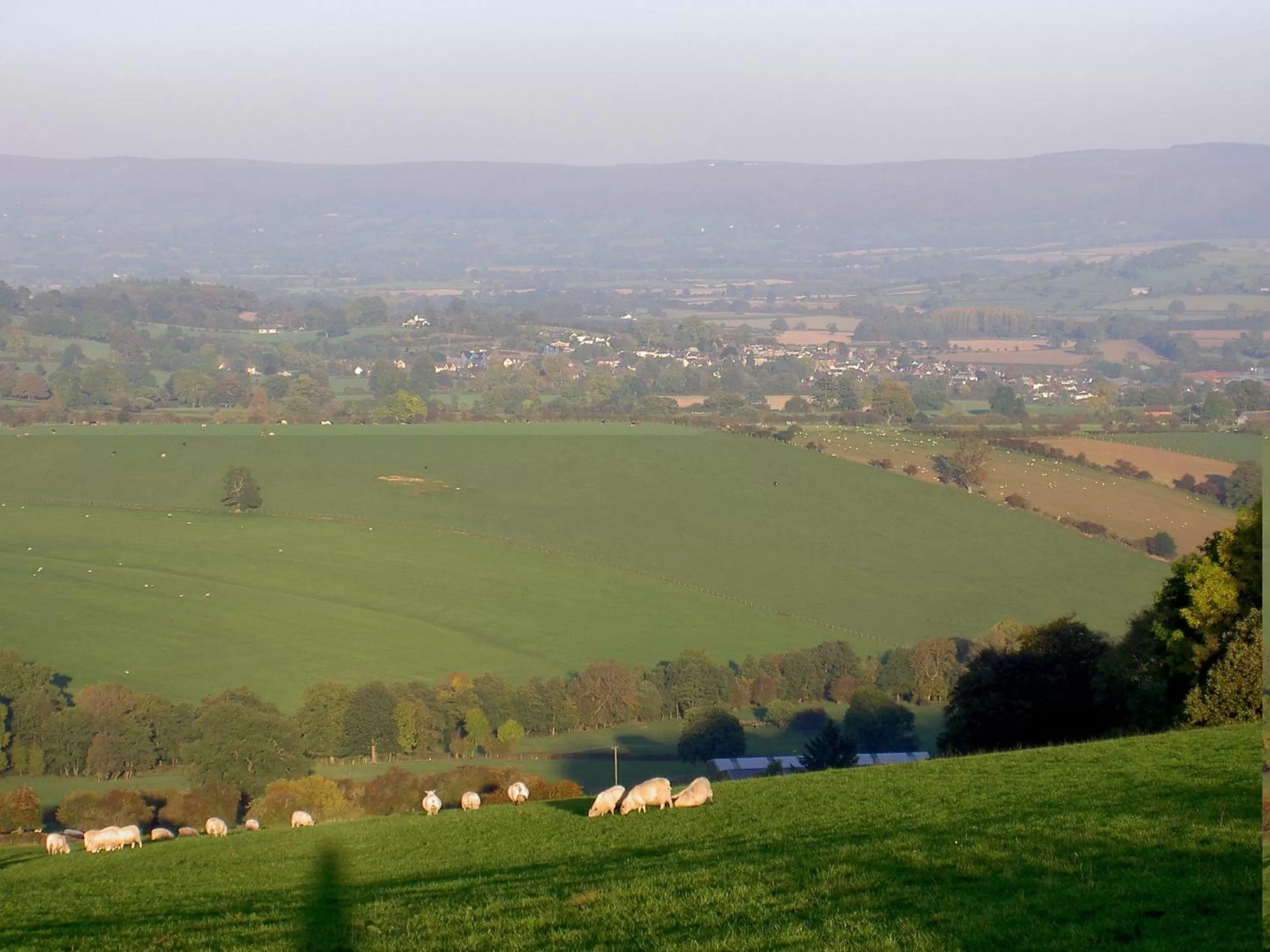 Neighbourhood in Middle Woodbatch B&B