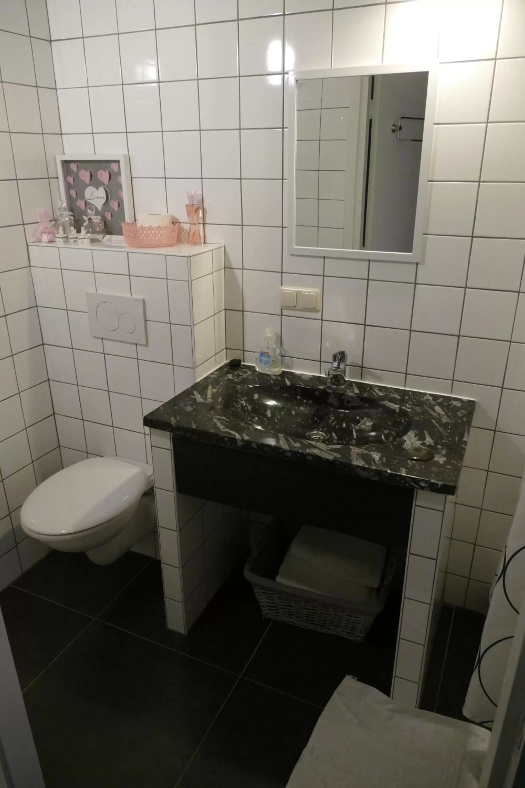 Bathroom in Meschermolen