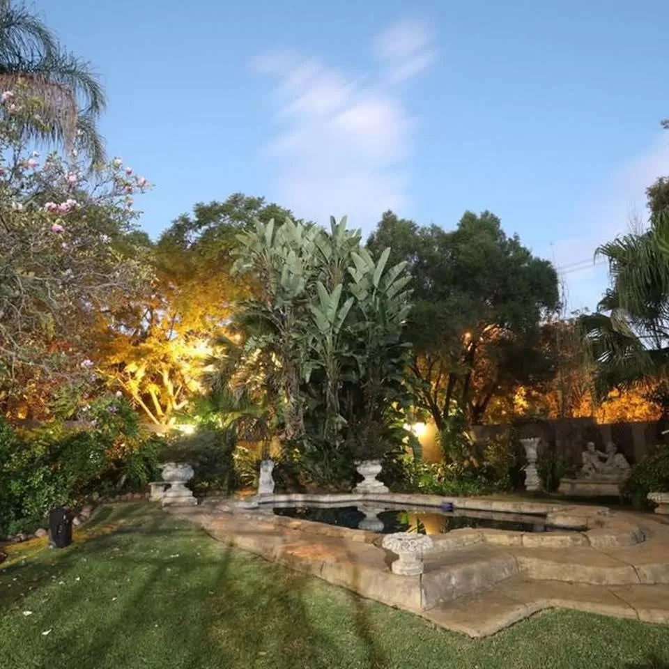 Garden in Ben's Bed and Breakfast