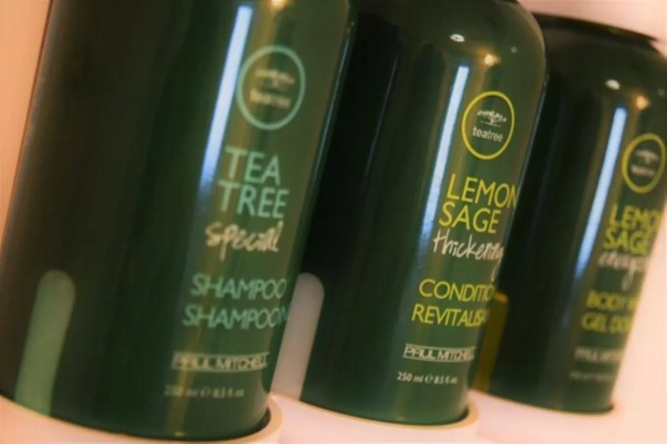 TownePlace Suites by Marriott Minneapolis near Mall of America