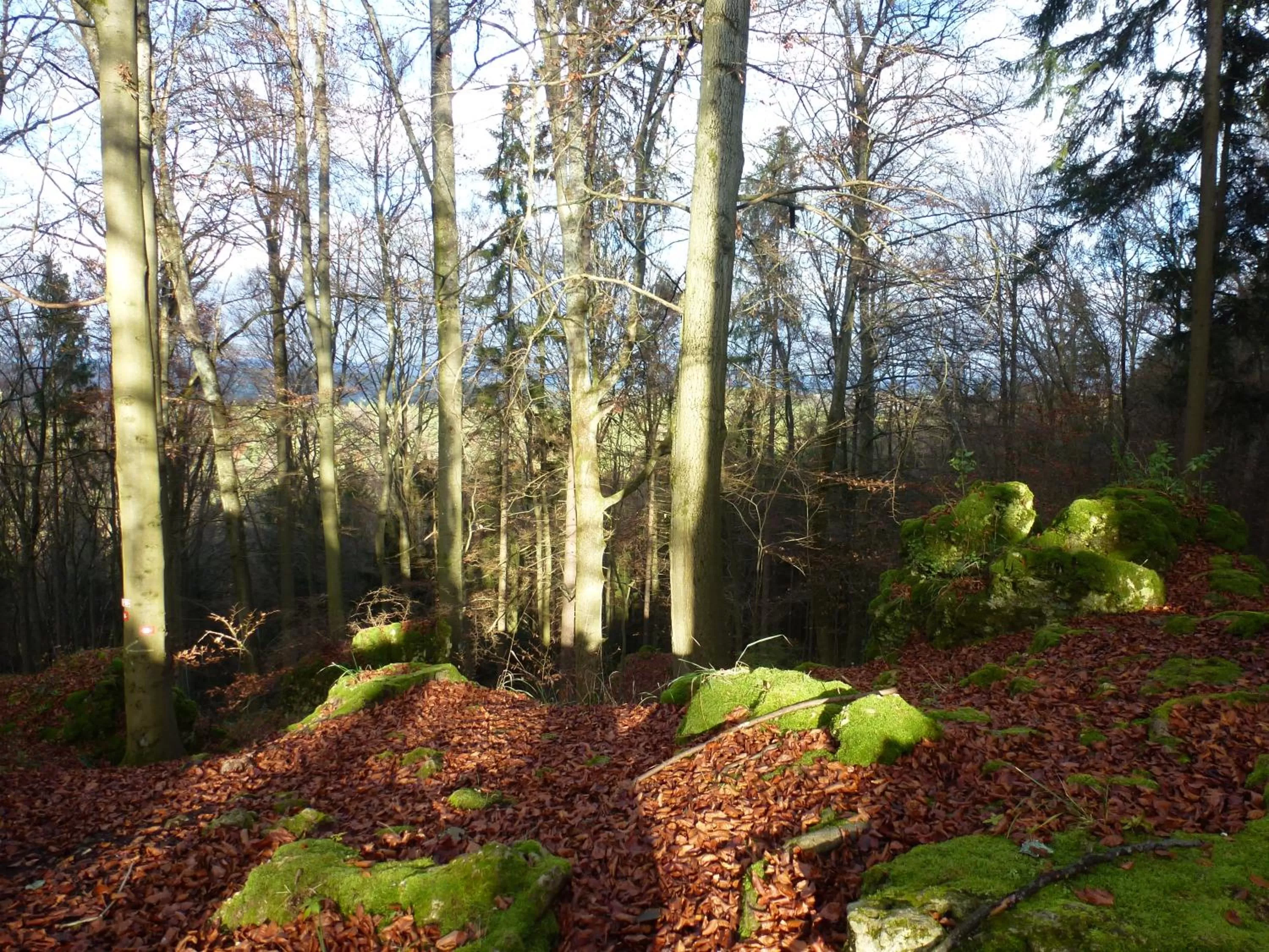Hiking, Garden in Gasthof Hotel Reif
