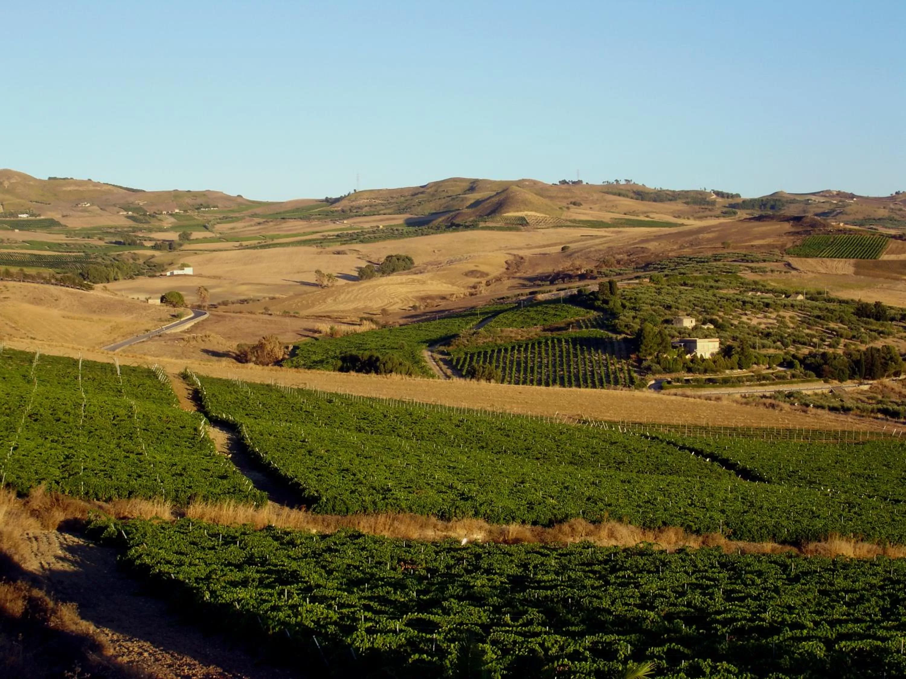 View (from property/room) in Candalù - Villa Giardinata