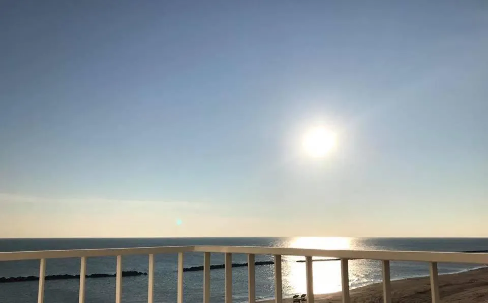 Hotel Alexander Museum Palace