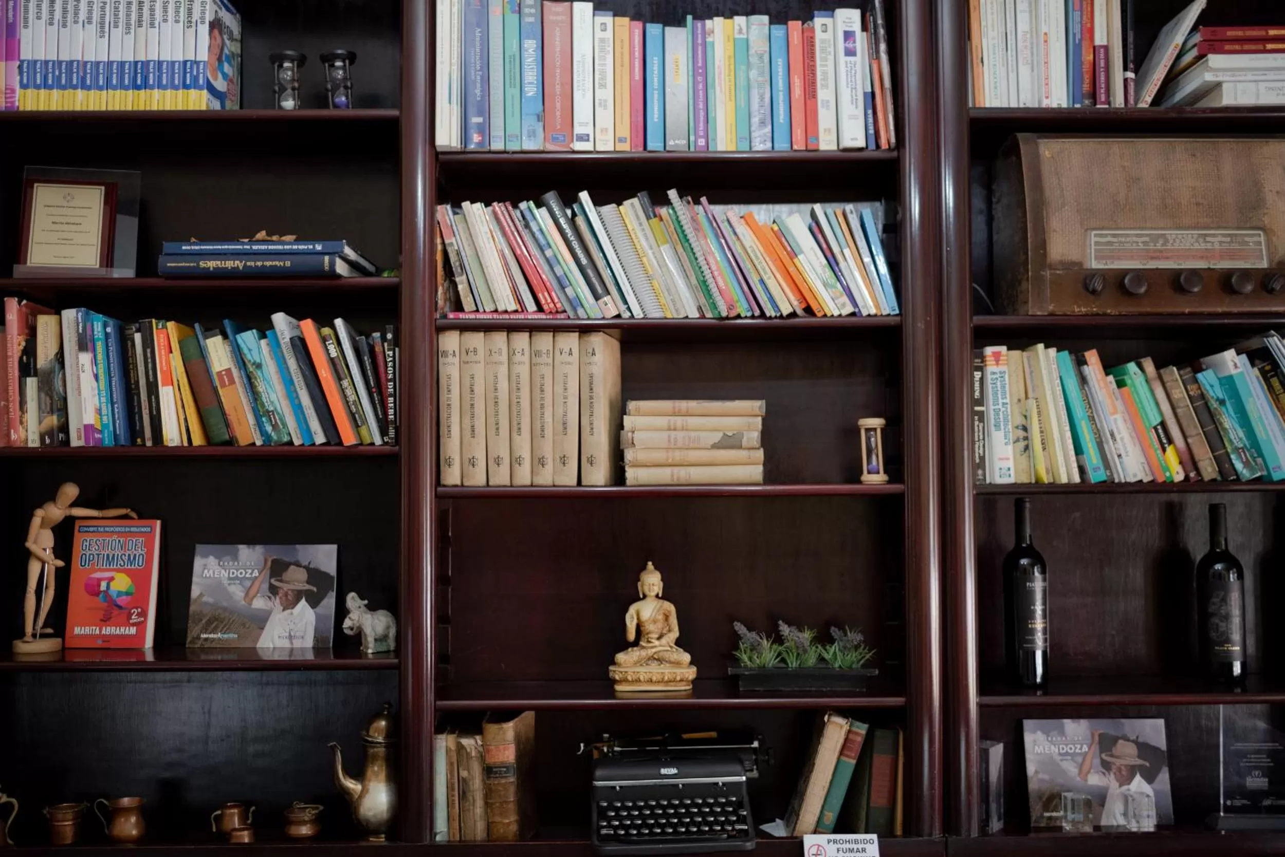 Library in Juana Banana Bed and Breakfast