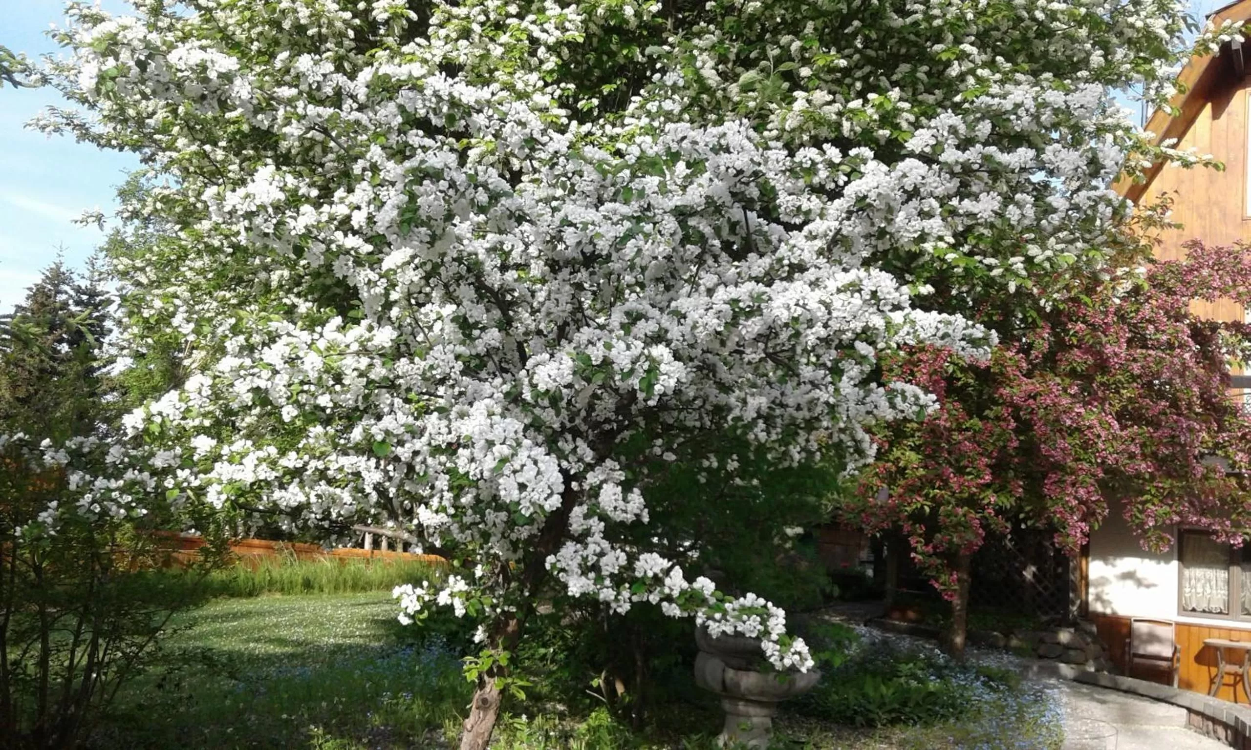 Alaska Chalet Bed & Breakfast