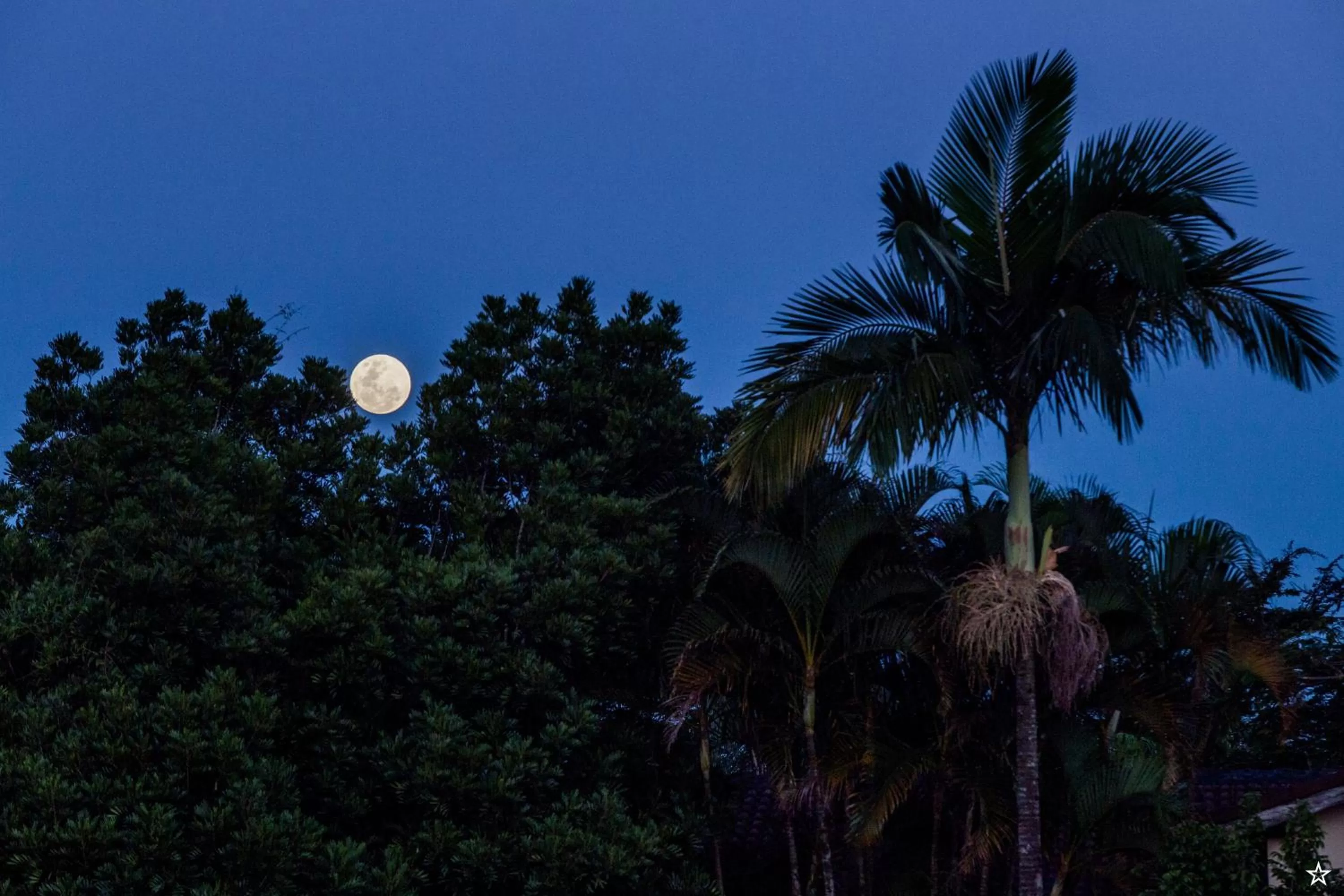 Natural landscape in Pousada Flor da Serra