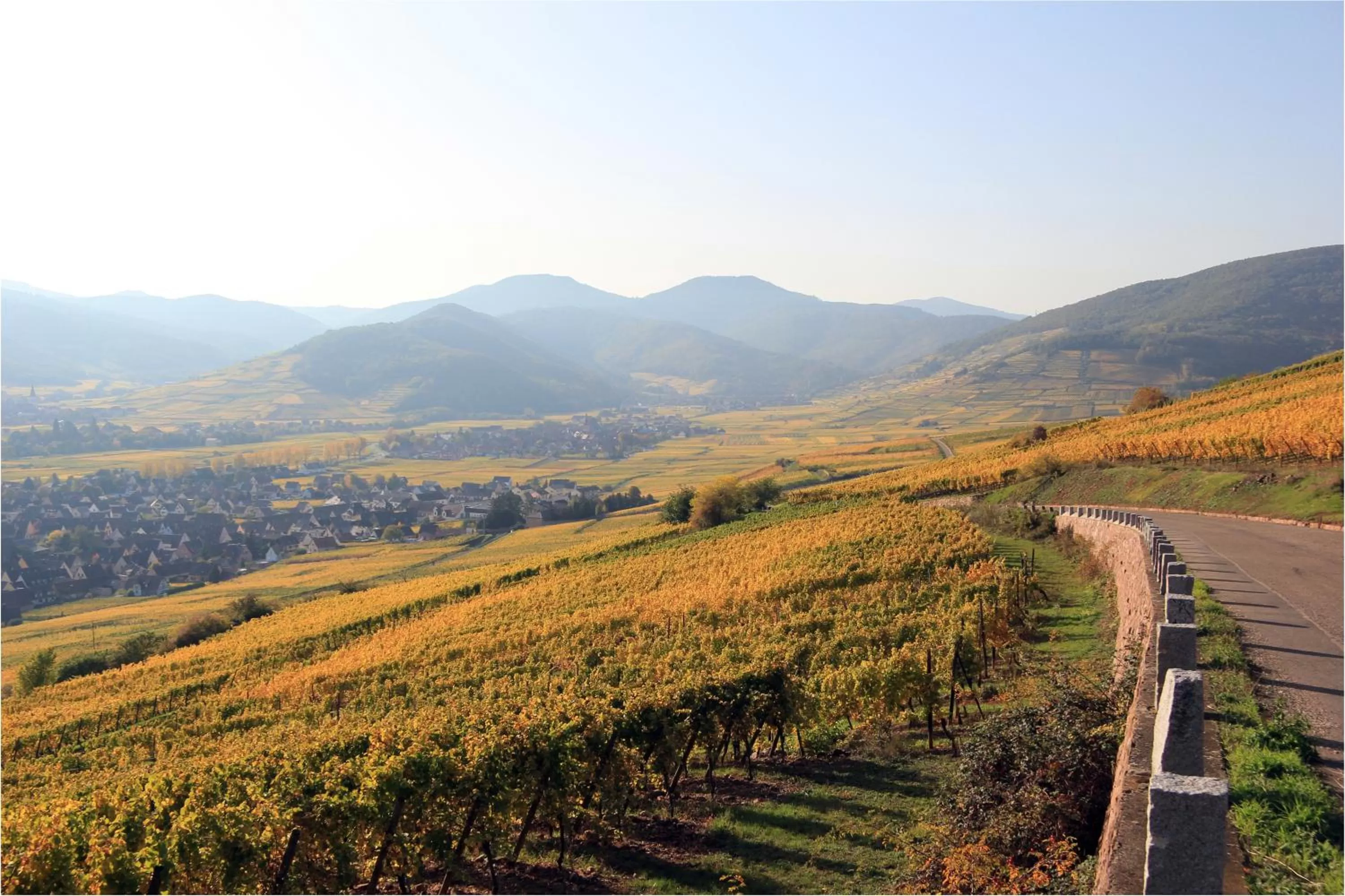 Activities in Résidence des Châteaux