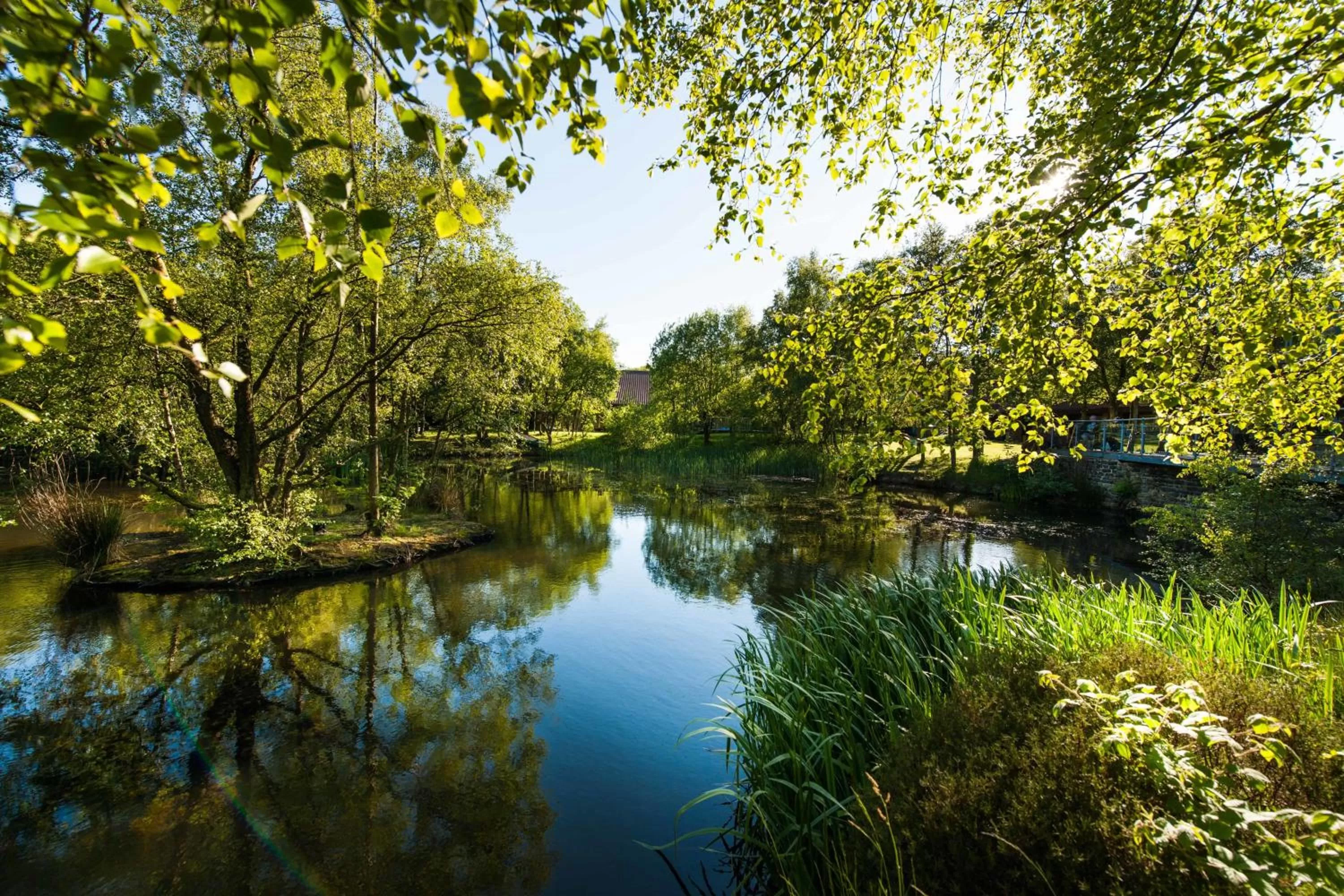 Lake view in Chevin Country Park Hotel & Spa